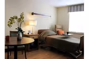 A senior living facility bedroom with a bed, window, lamp, and plants.