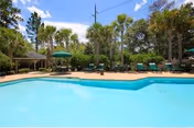 Outdoor pool with blue water, lounge chairs, and green umbrellas among palm trees.