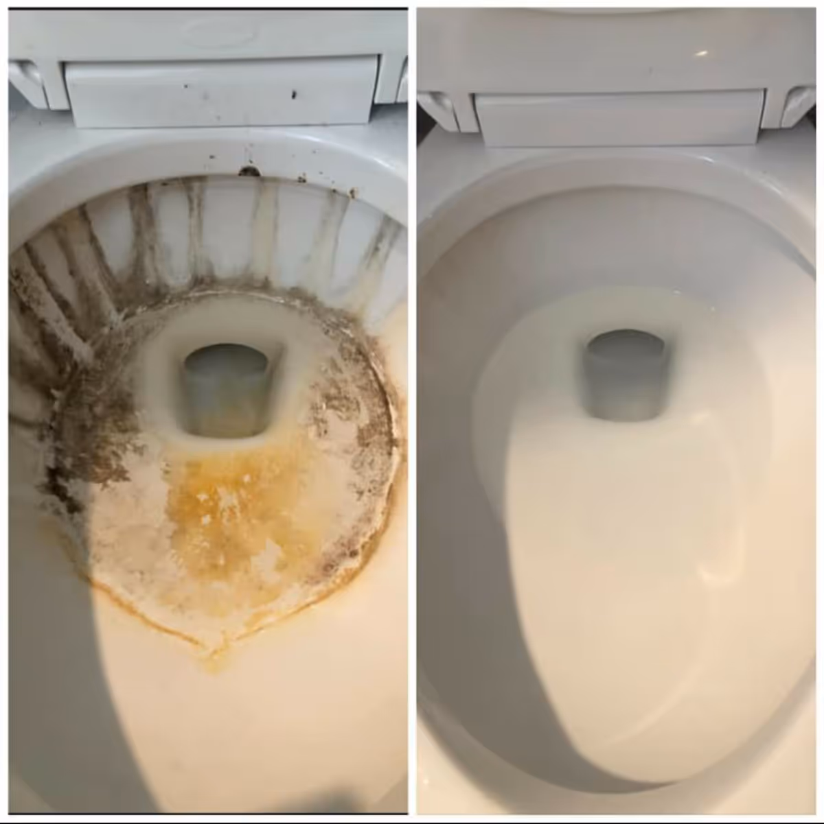 Split image of a dirty toilet bowl on left and cleaned bowl on right.