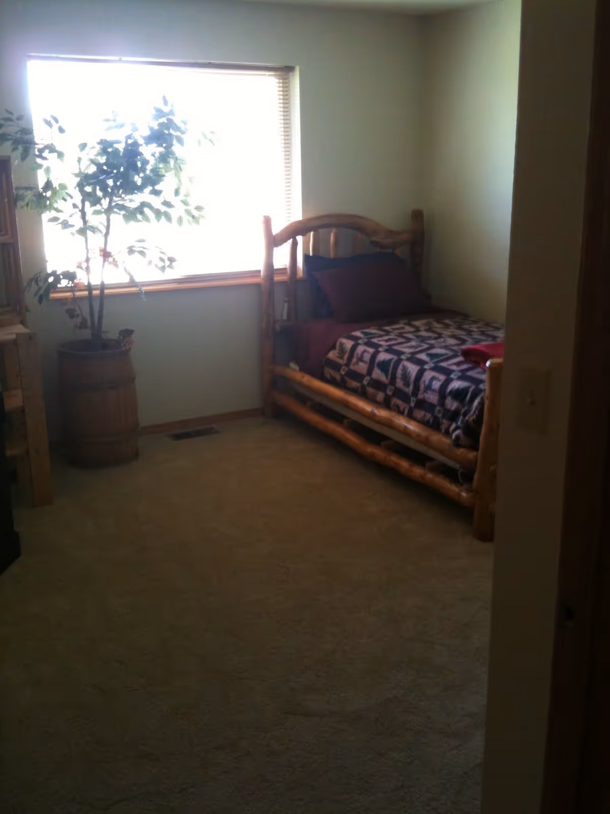Small bedroom with a log-style single bed by a large window and a potted plant in a barrel planter.
