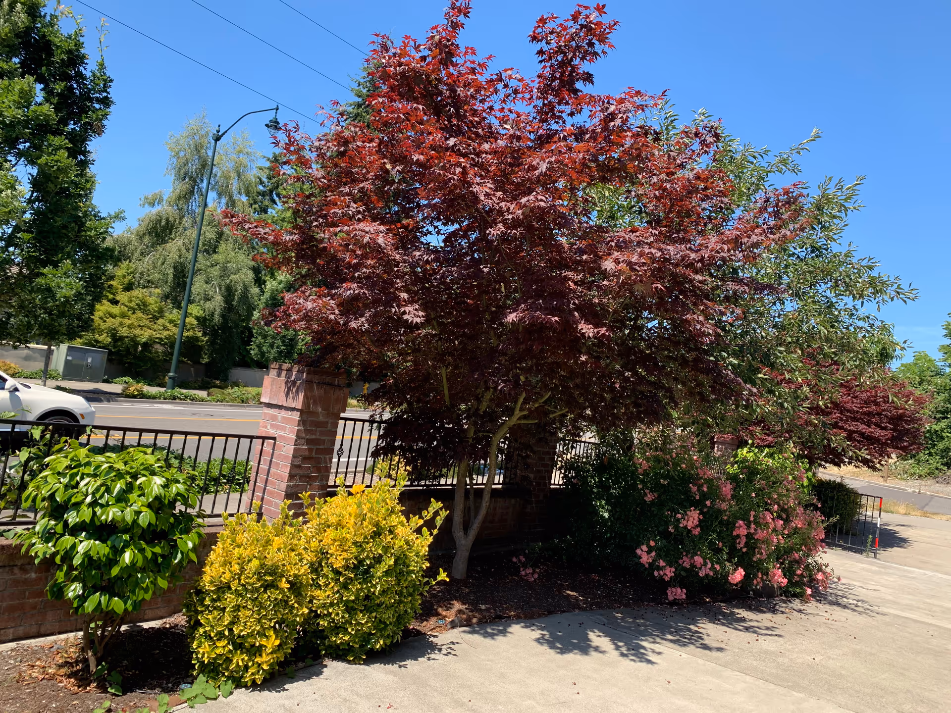 Sunny exterior with brick pillar, black railing, and colorful trees and shrubs.