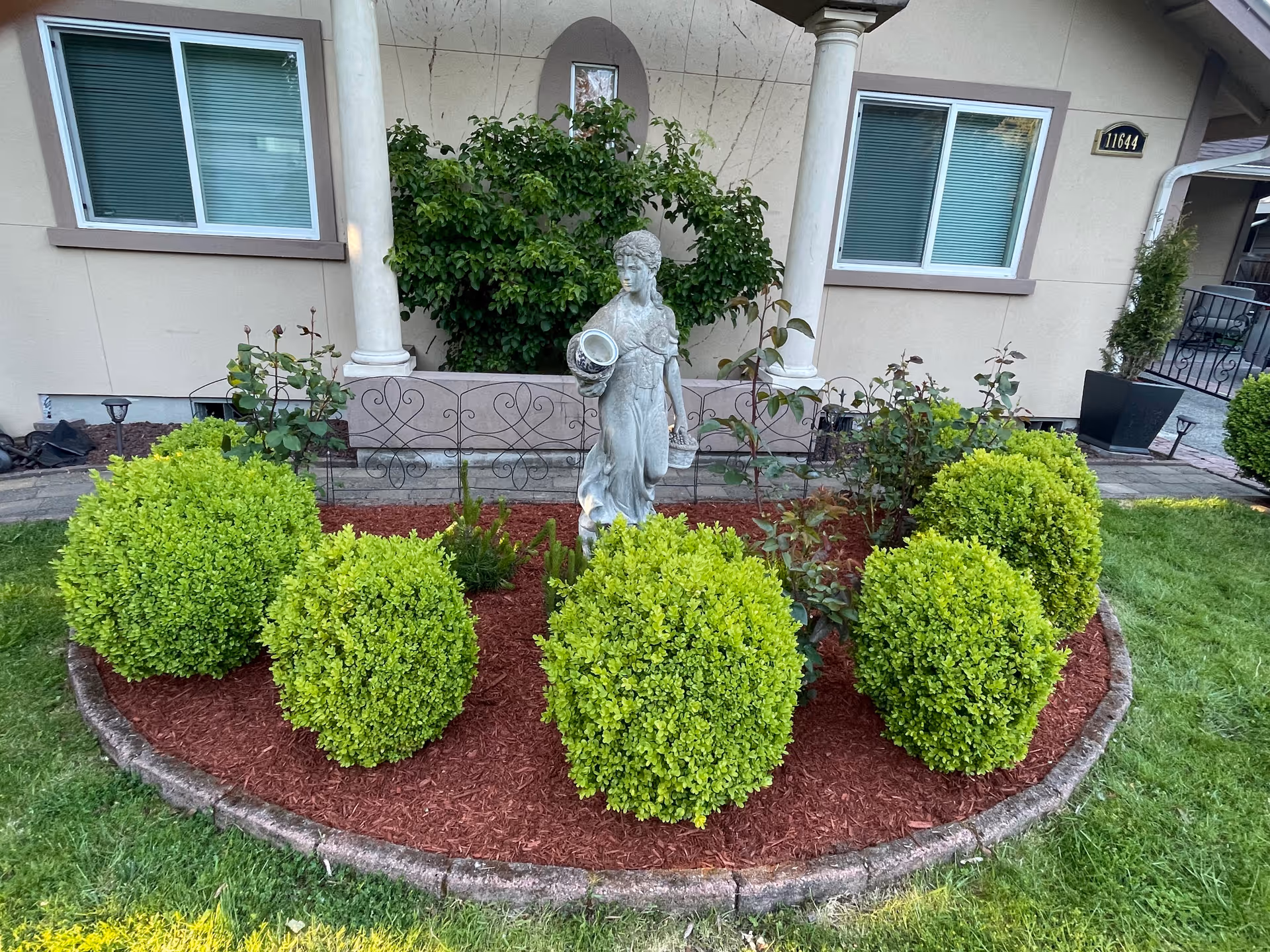 Front yard garden bed with a statue surrounded by trimmed round shrubs and red mulch in front of a house with columns and windows.