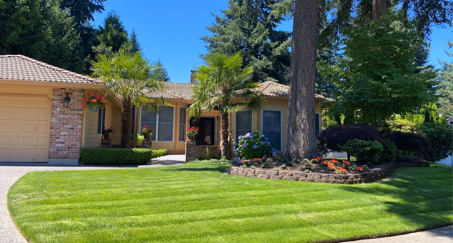 Front yard of a single-story home with manicured lawn, palm trees, and colorful flower beds.