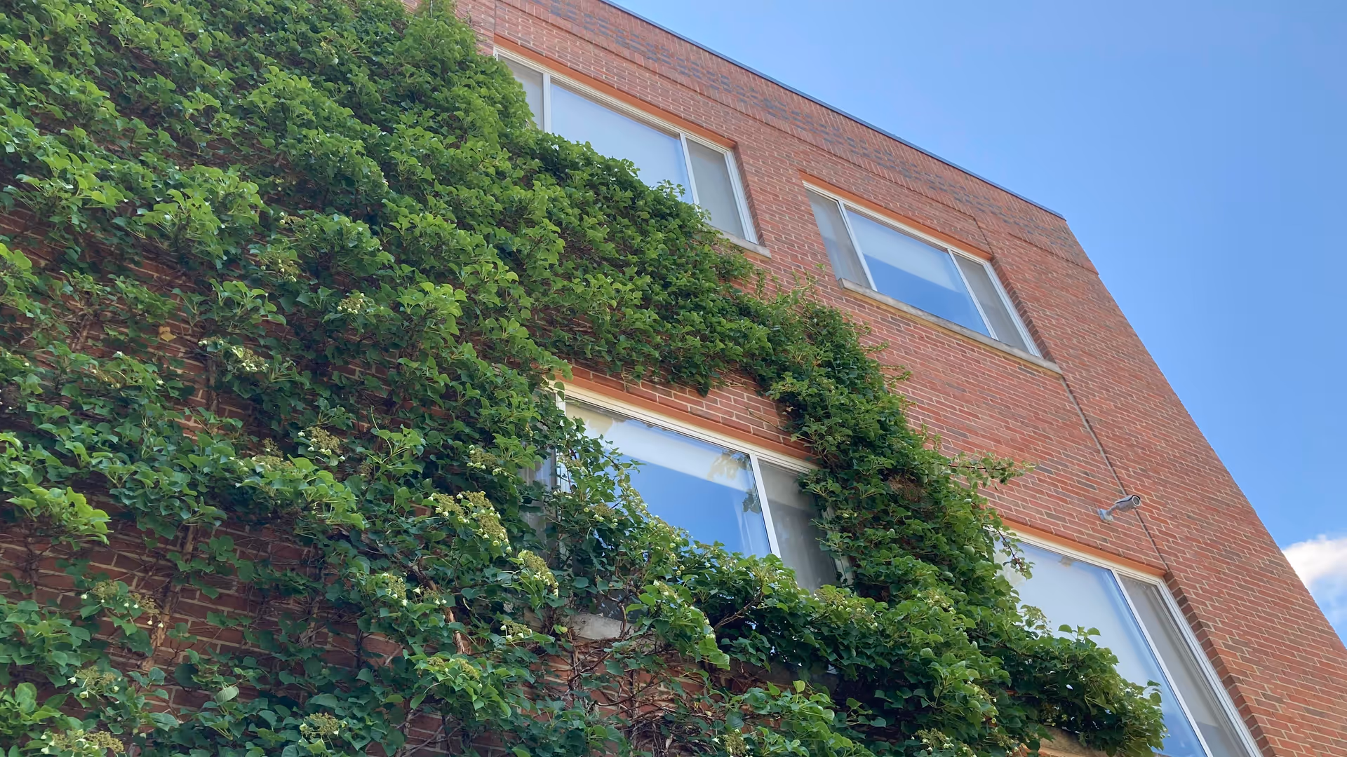 Brick nursing center exterior with ivy-covered wall against a blue sky.