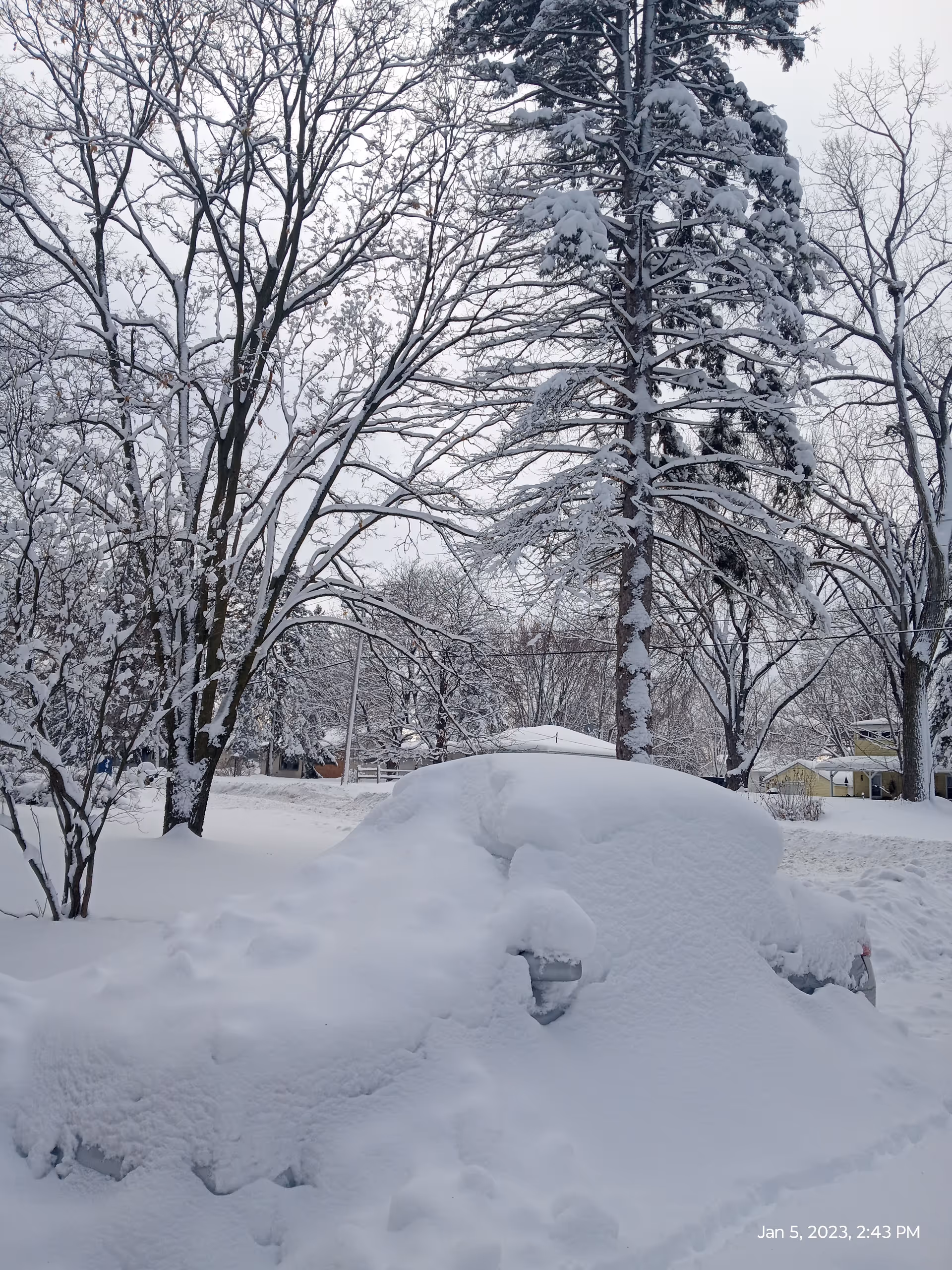 Snow-covered car and leafless trees in a residential neighborhood after snowfall.