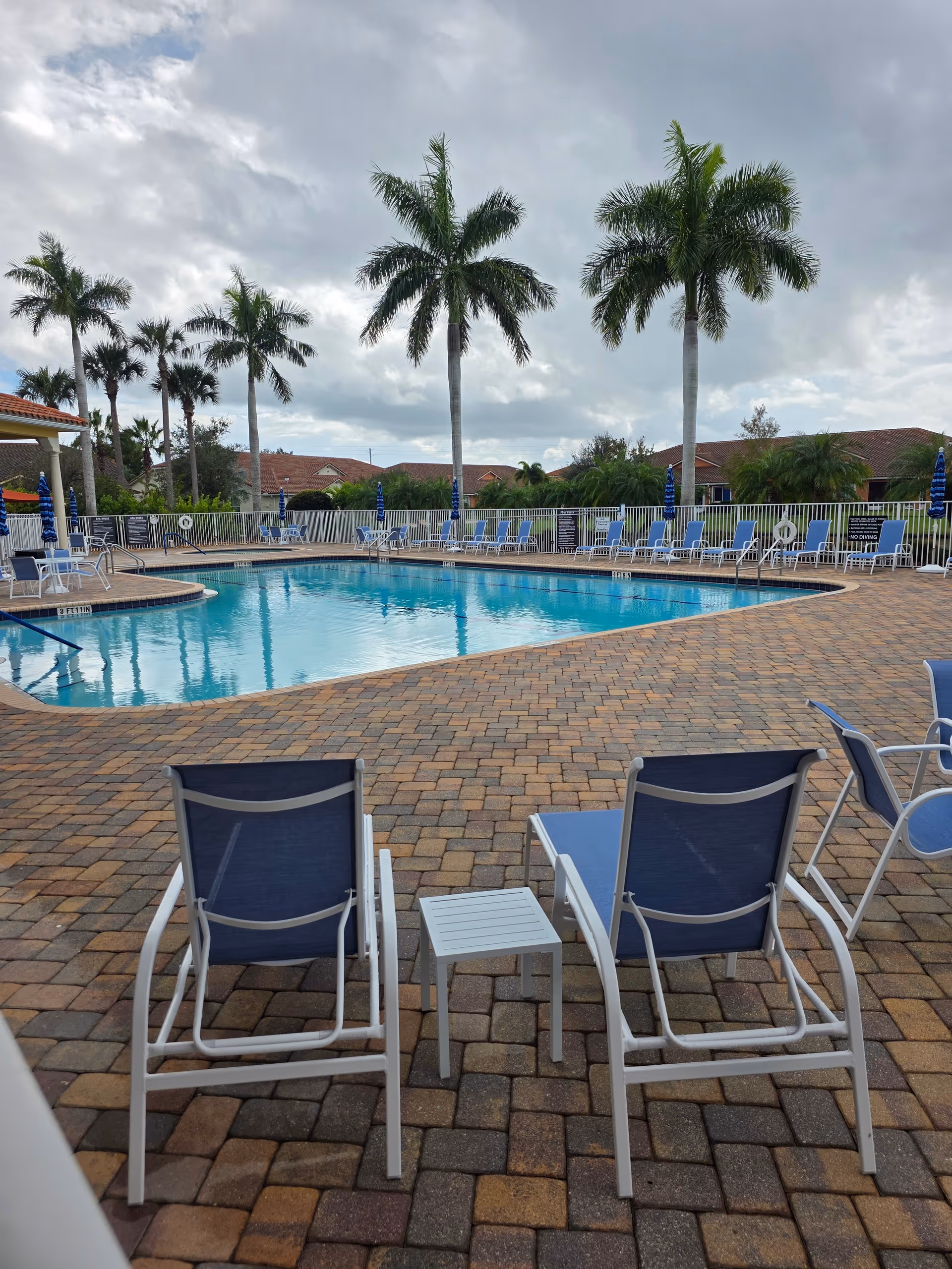 Outdoor pool area with blue lounge chairs, palm trees, and brick pavers.