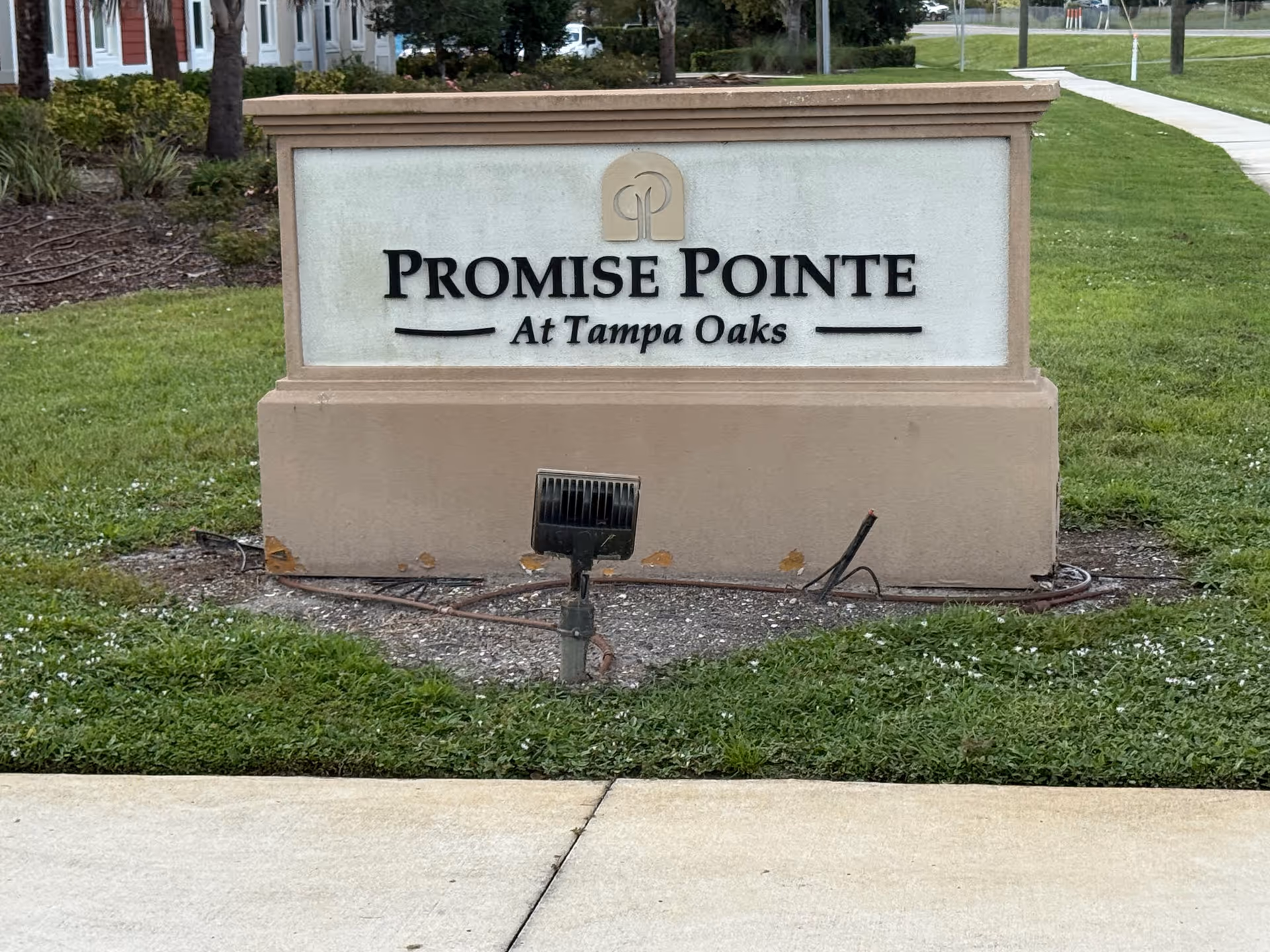 Stone sign reading Promise Pointe At Tampa Oaks sits on a grassy lawn near a walkway.