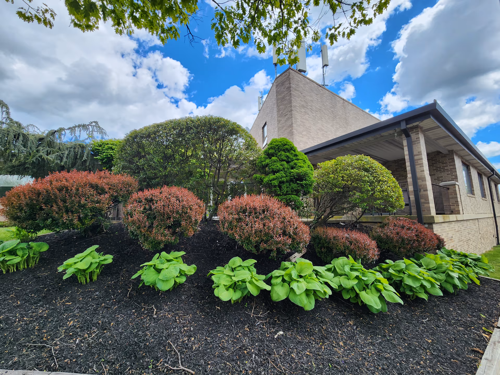 Exterior view of Oakwood Residence with manicured shrubs and brick building entrance.