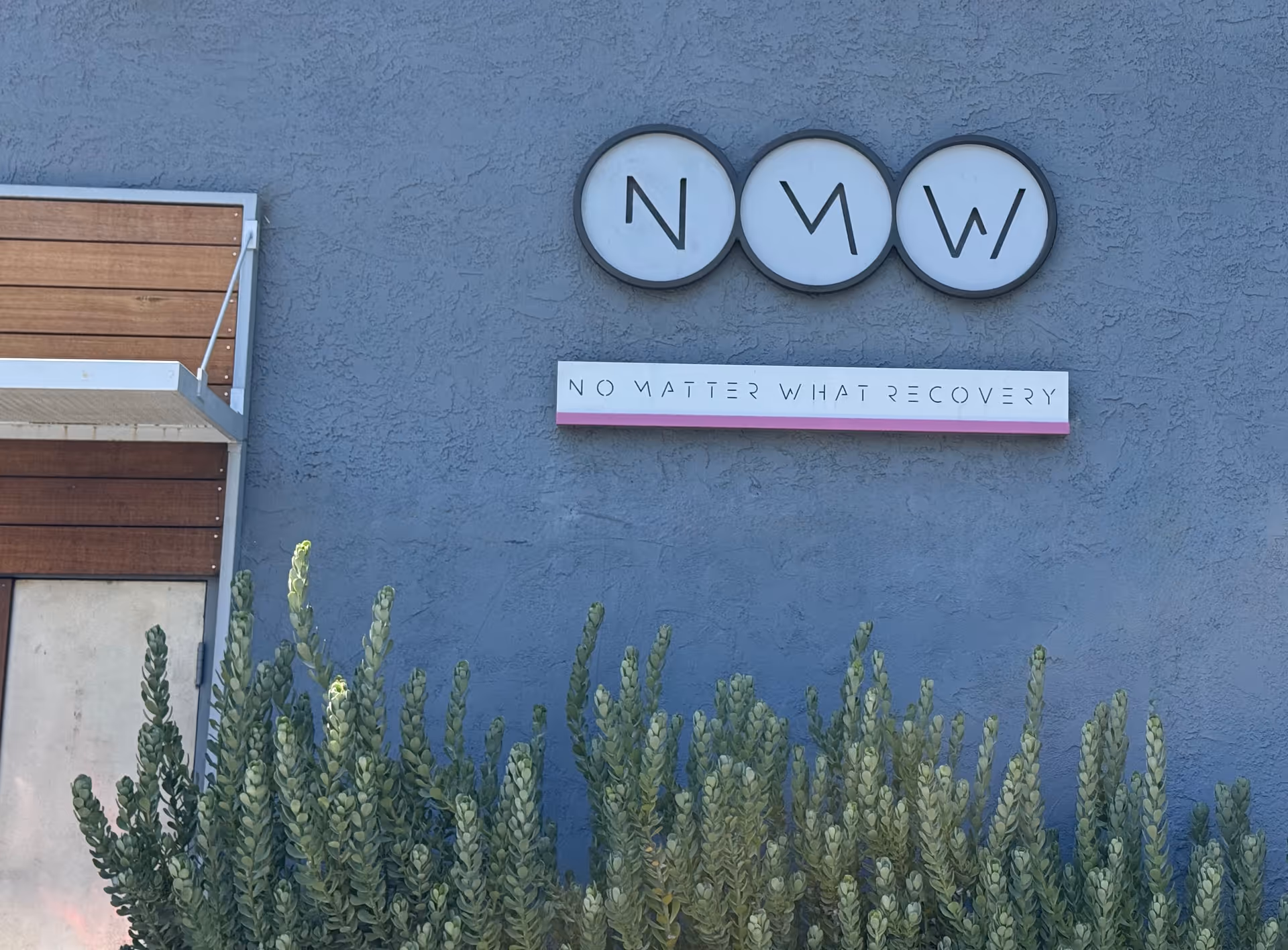 Exterior view of a blue wall with No Matter What Recovery signage and plants.