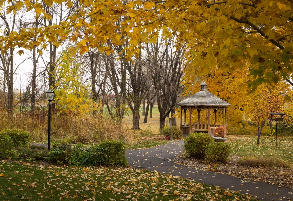 Wooden gazebo beside a paved path under yellow autumn trees with fallen leaves.