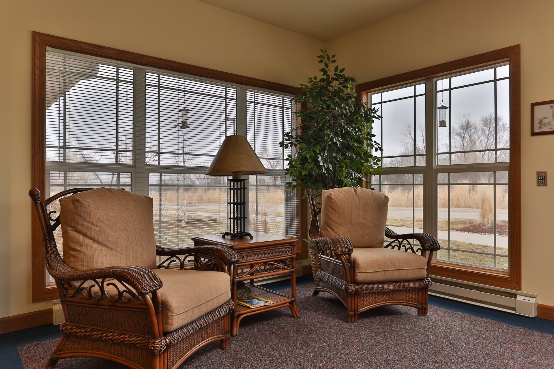 A cozy sitting area with two cushioned wicker armchairs positioned around a wooden side table with a lamp. The space is well-lit by large windows with wooden frames, showing an outdoor view of a pathway and bare trees. A tall green plant is placed between the chairs.