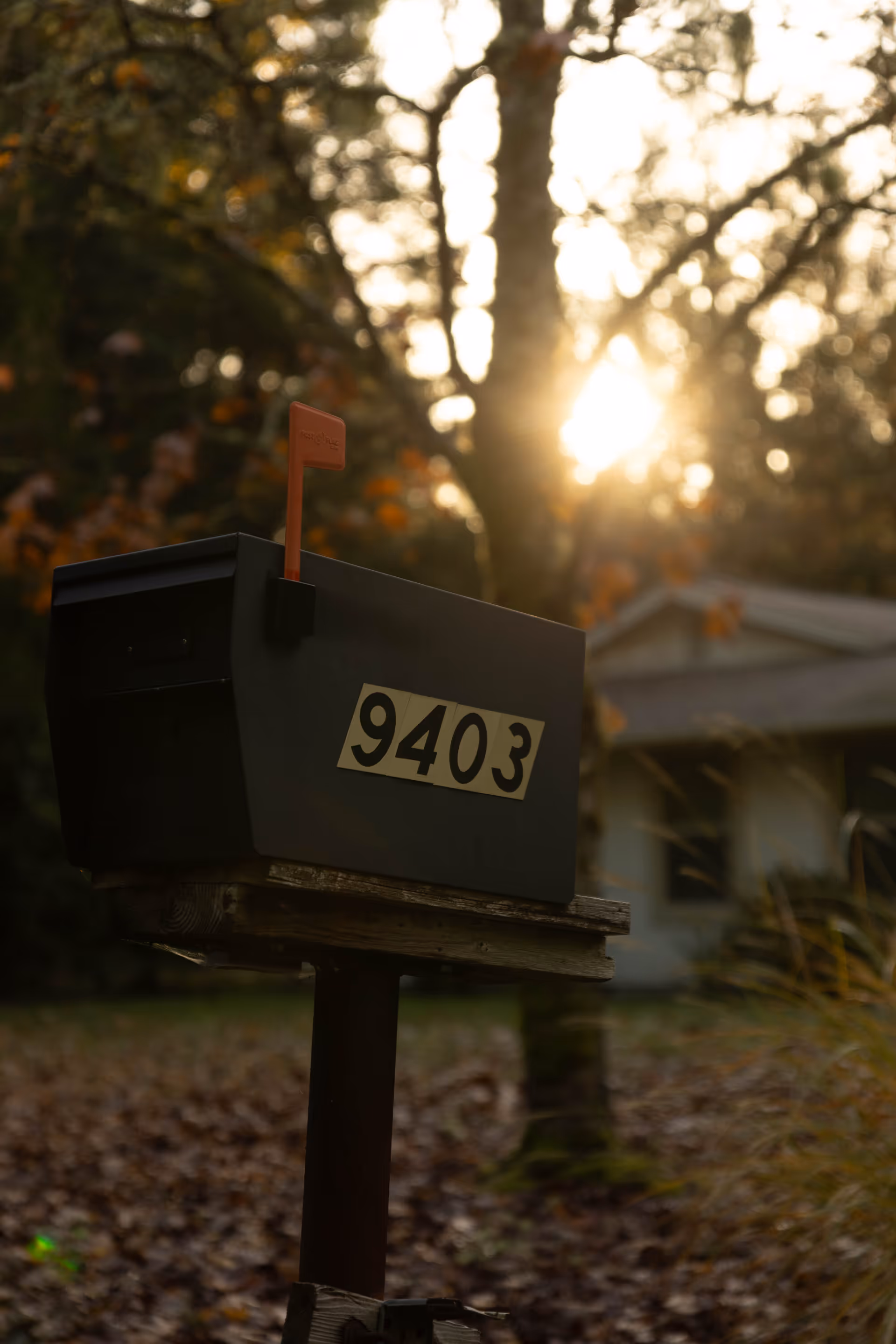 Sunlit front yard mailbox labeled 9403 mounted on a post in front of a house