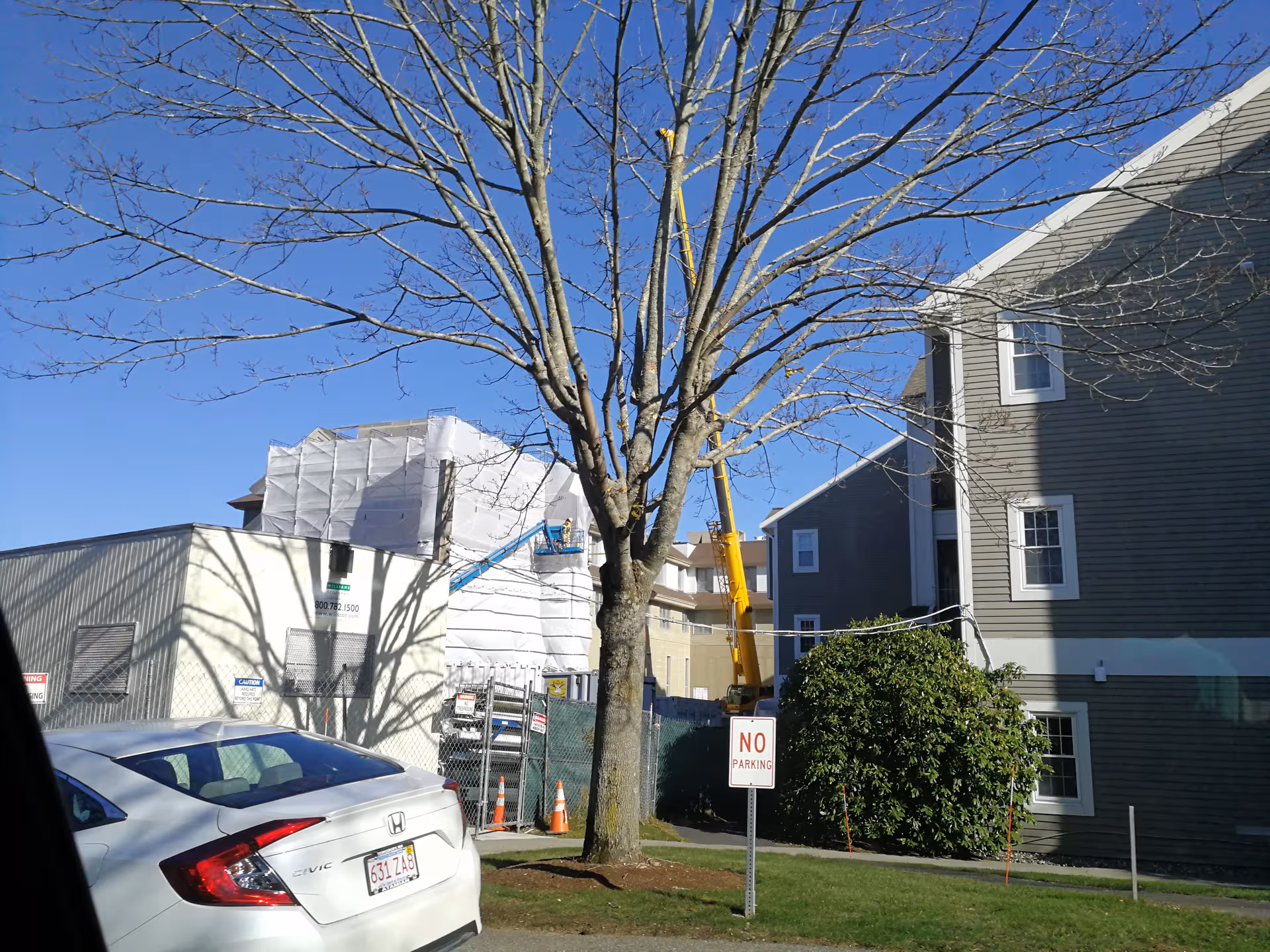 Tree in foreground with construction site, crane, and apartment-style buildings in background.
