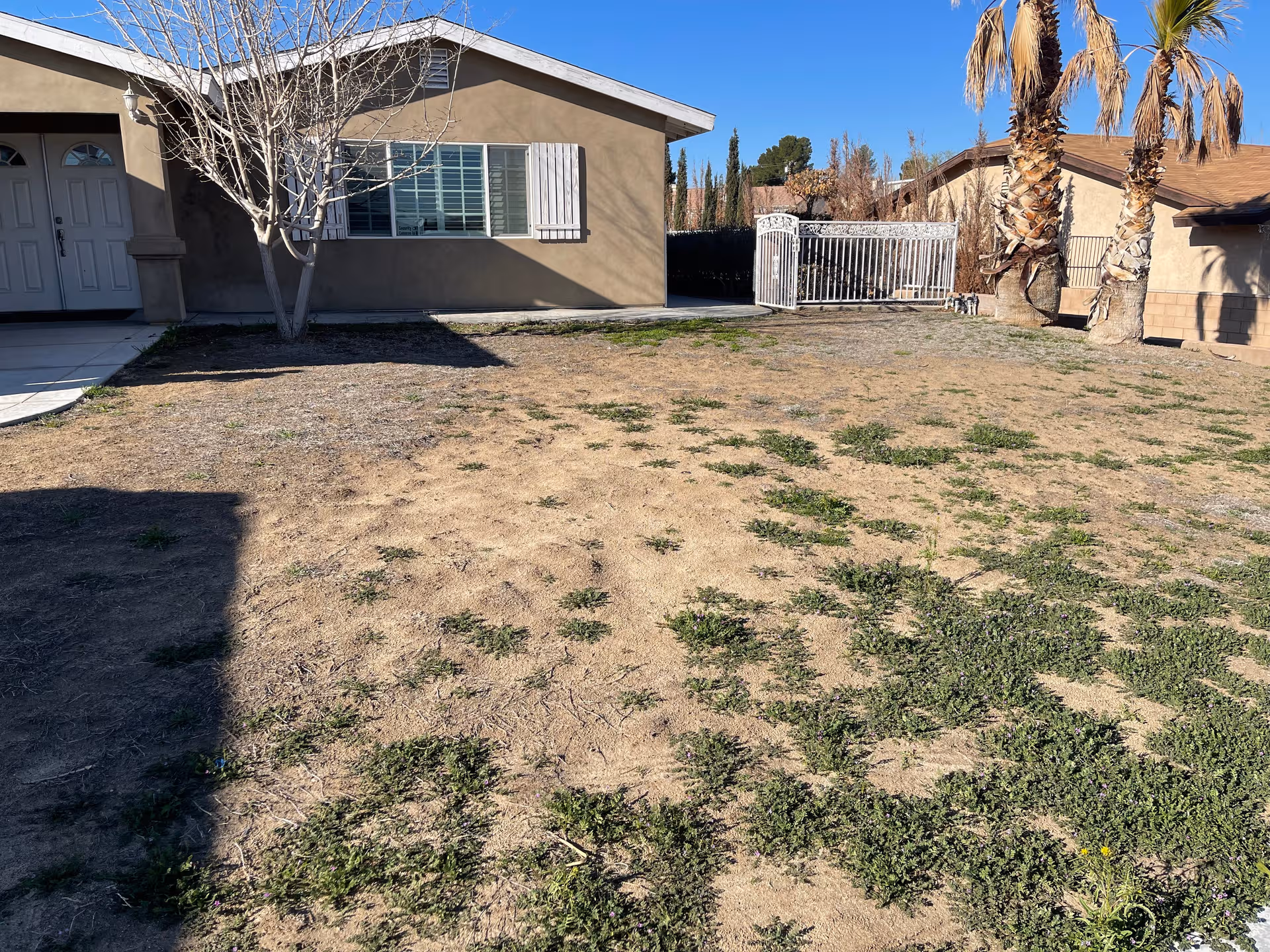 Desert Horizon Residential Care exterior building with a dry yard and palm trees.