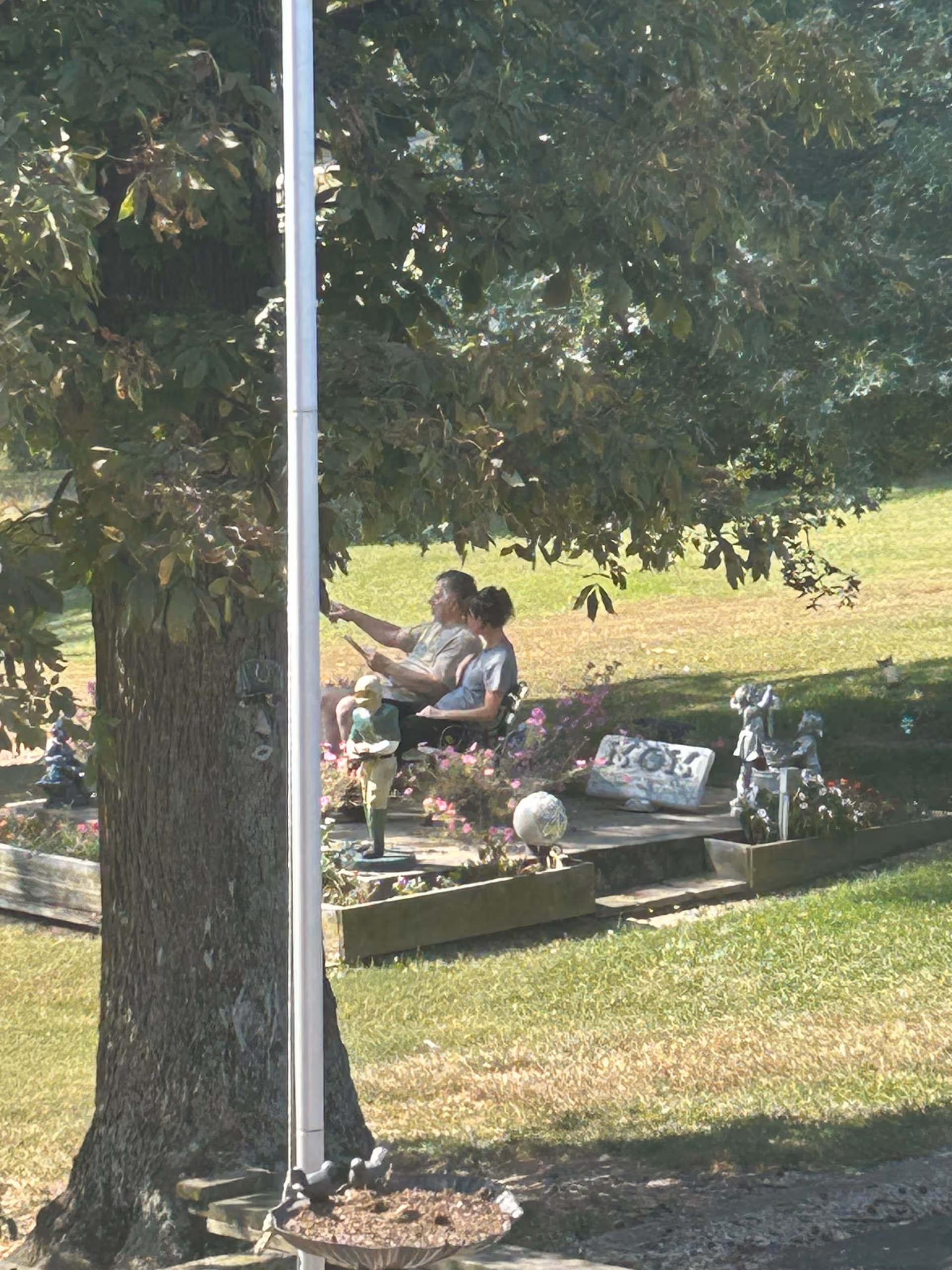 Two elderly people sit on a bench under a large tree in a garden.