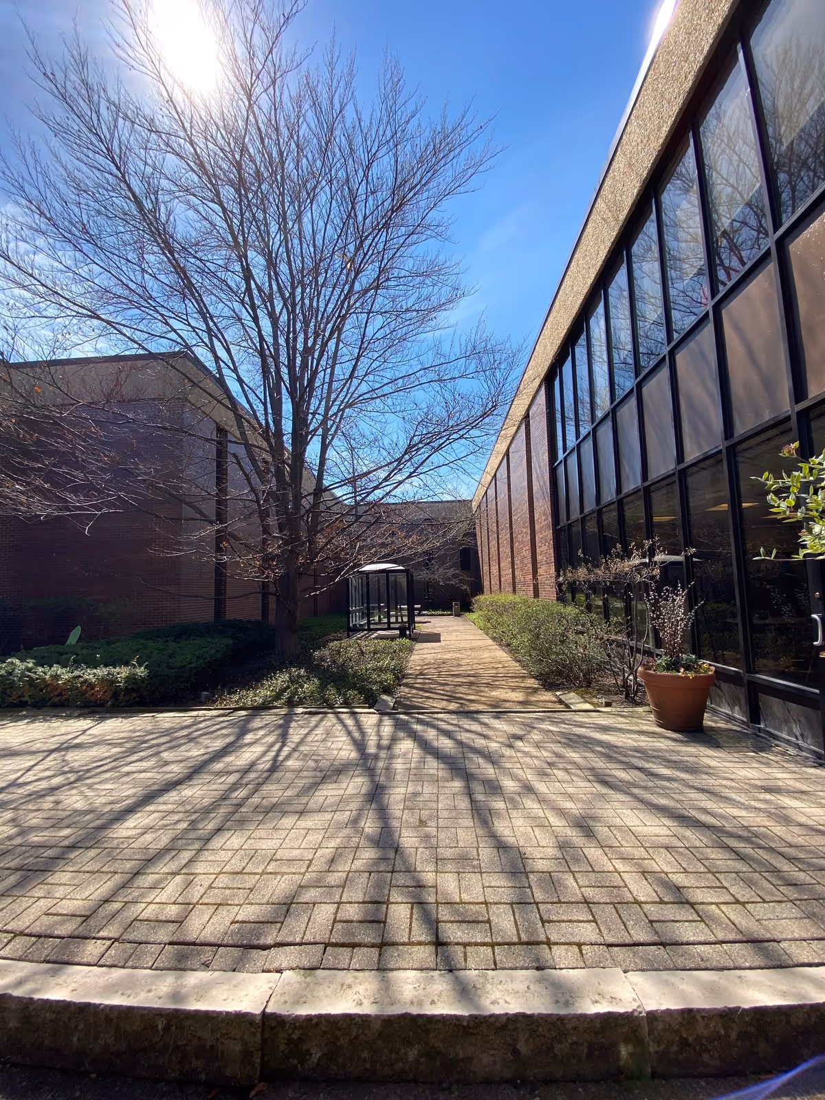 Outdoor walkway between brick buildings with leafless tree, glass windows, and planters.