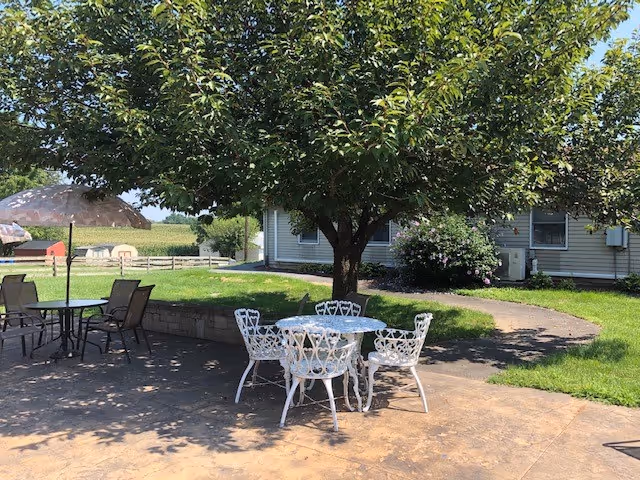 Outdoor patio with white metal tables and chairs under a large tree.