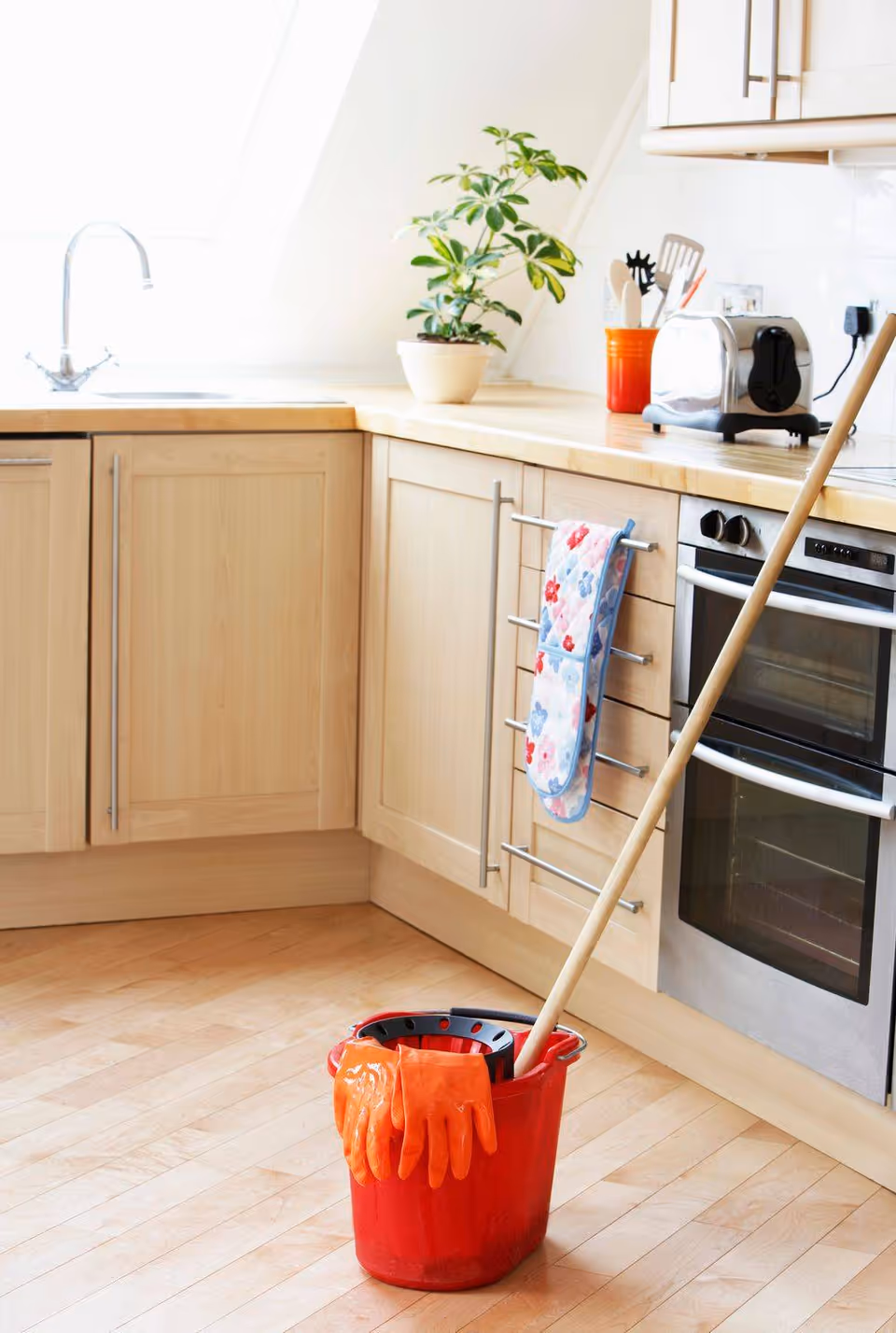 Clean kitchen with wooden cabinets, a mop bucket, plant, and toaster on the counter.