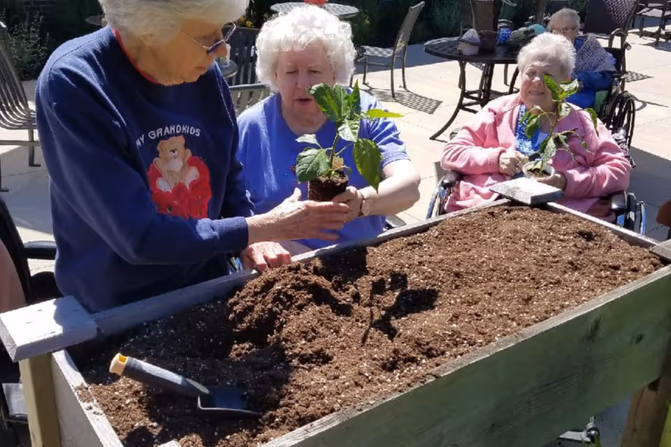 Three elderly women, two seated in wheelchairs, are engaged in planting young green plants in a raised garden bed filled with soil outdoors on a sunny day. One woman is handing a small plant to another, while a gardening trowel rests on the edge of the garden bed.