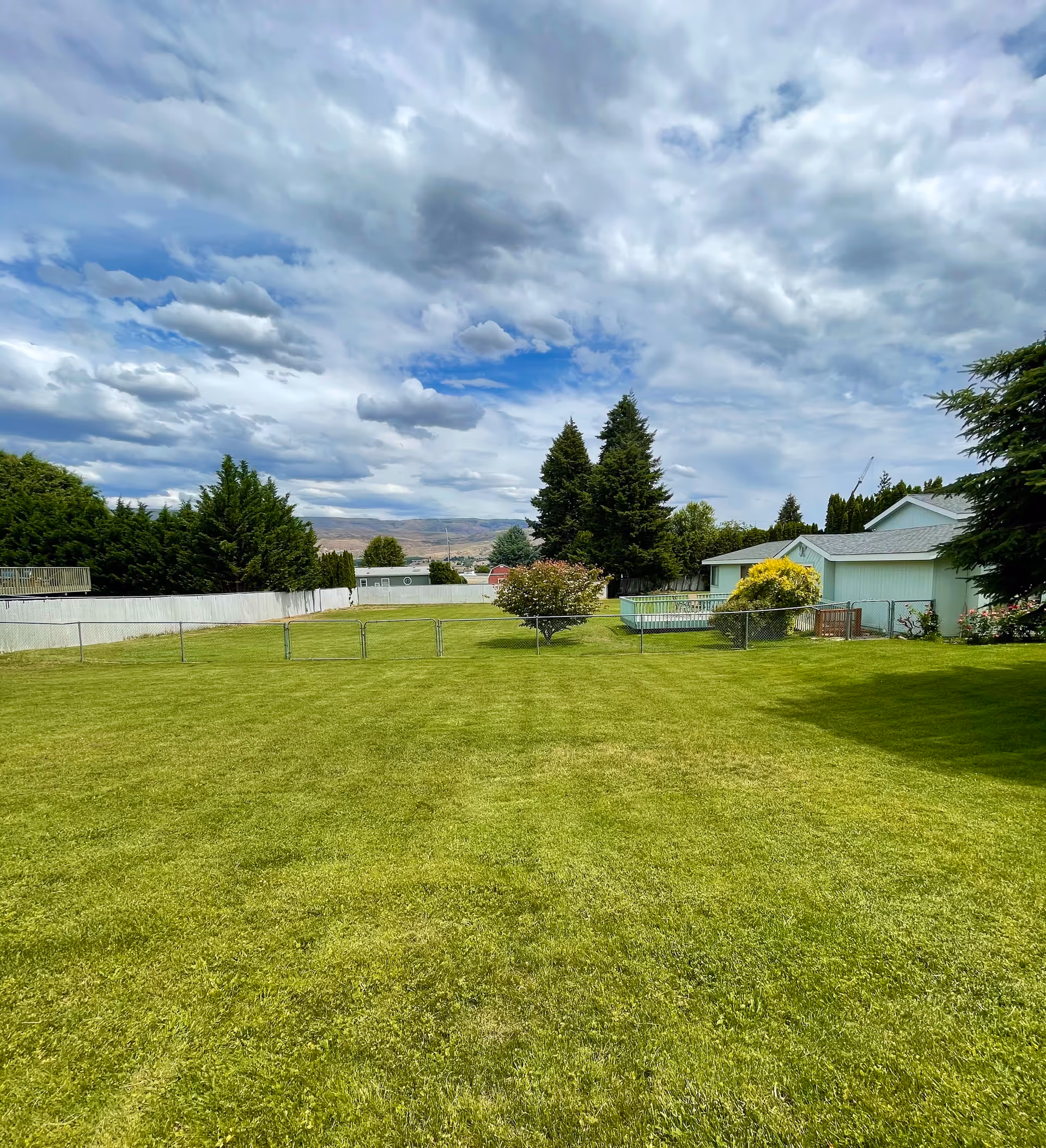 Outdoor grassy yard with a fence, trees, and a light blue building.