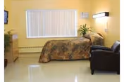 Yellow-walled bedroom with a bed, chair, dresser, plant, and window blinds.