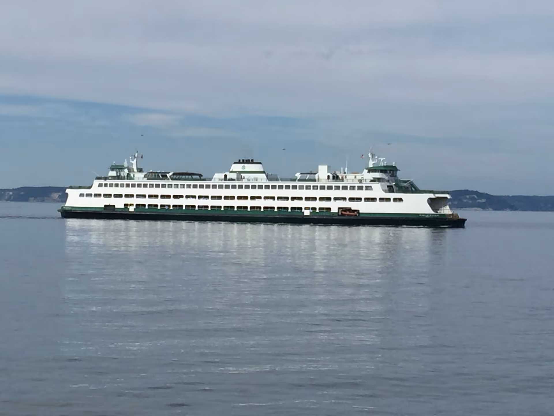 A large white cruise ship sails on calm water with a distant shoreline.