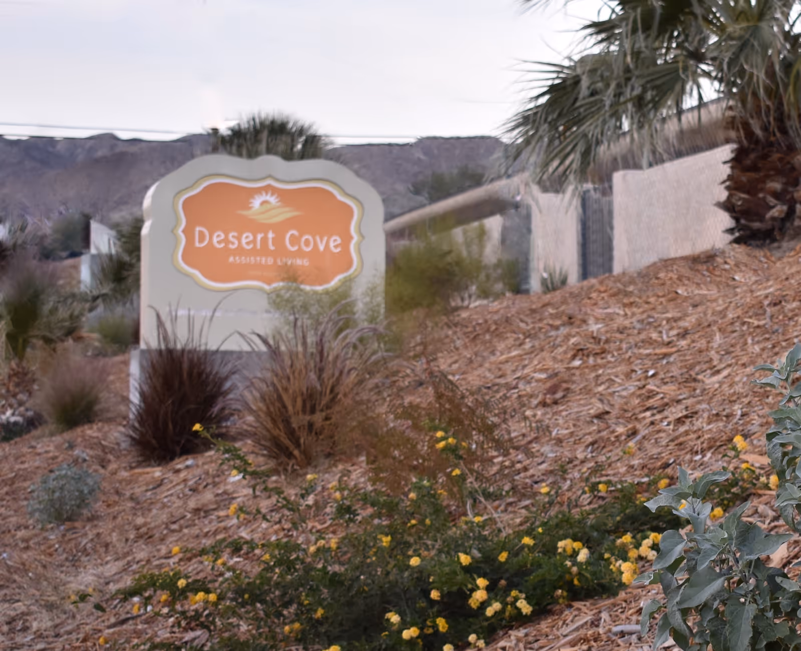 Desert Cove Assisted Living sign amid desert landscaping and hills