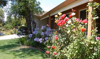 Exterior view of a single-story care home with flowering roses and a green lawn.