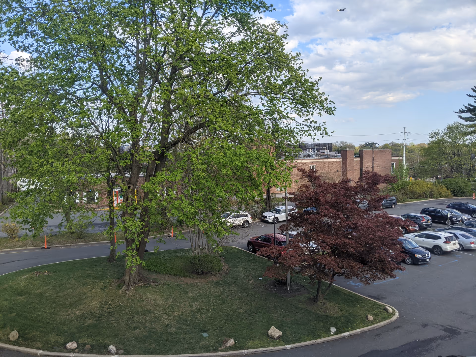 Exterior view of Sunharbor Manor with a parking lot and lush green trees.