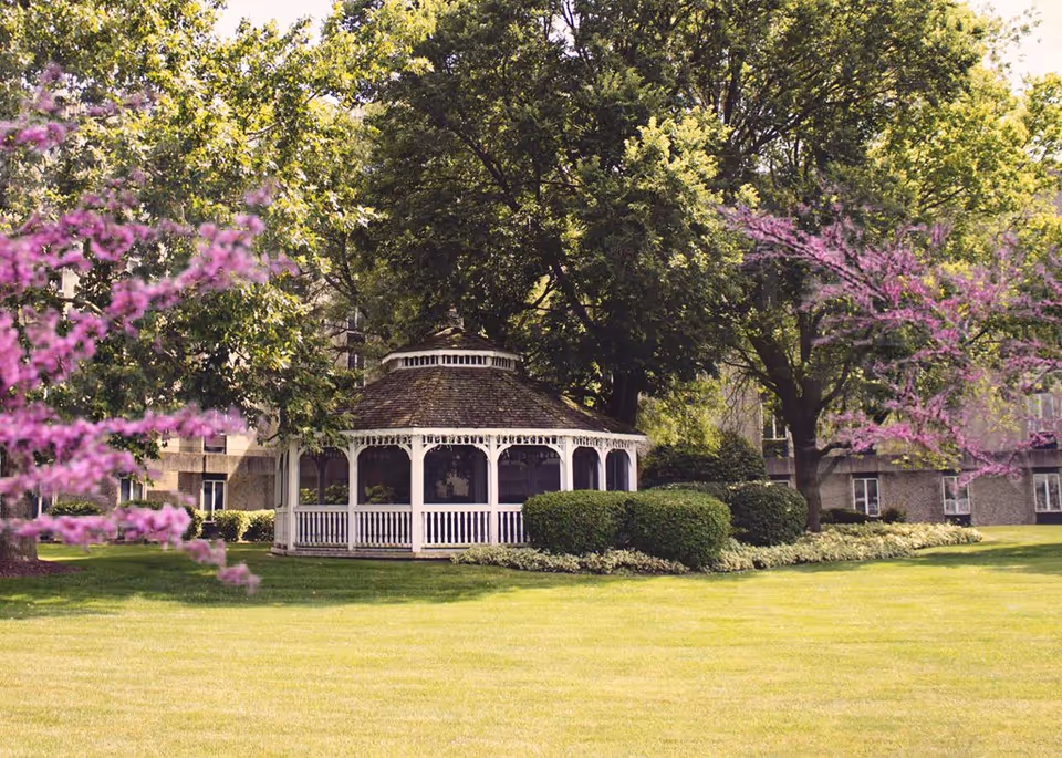 A white gazebo sits on a grassy lawn surrounded by trees and flowering shrubs with a building in the background.