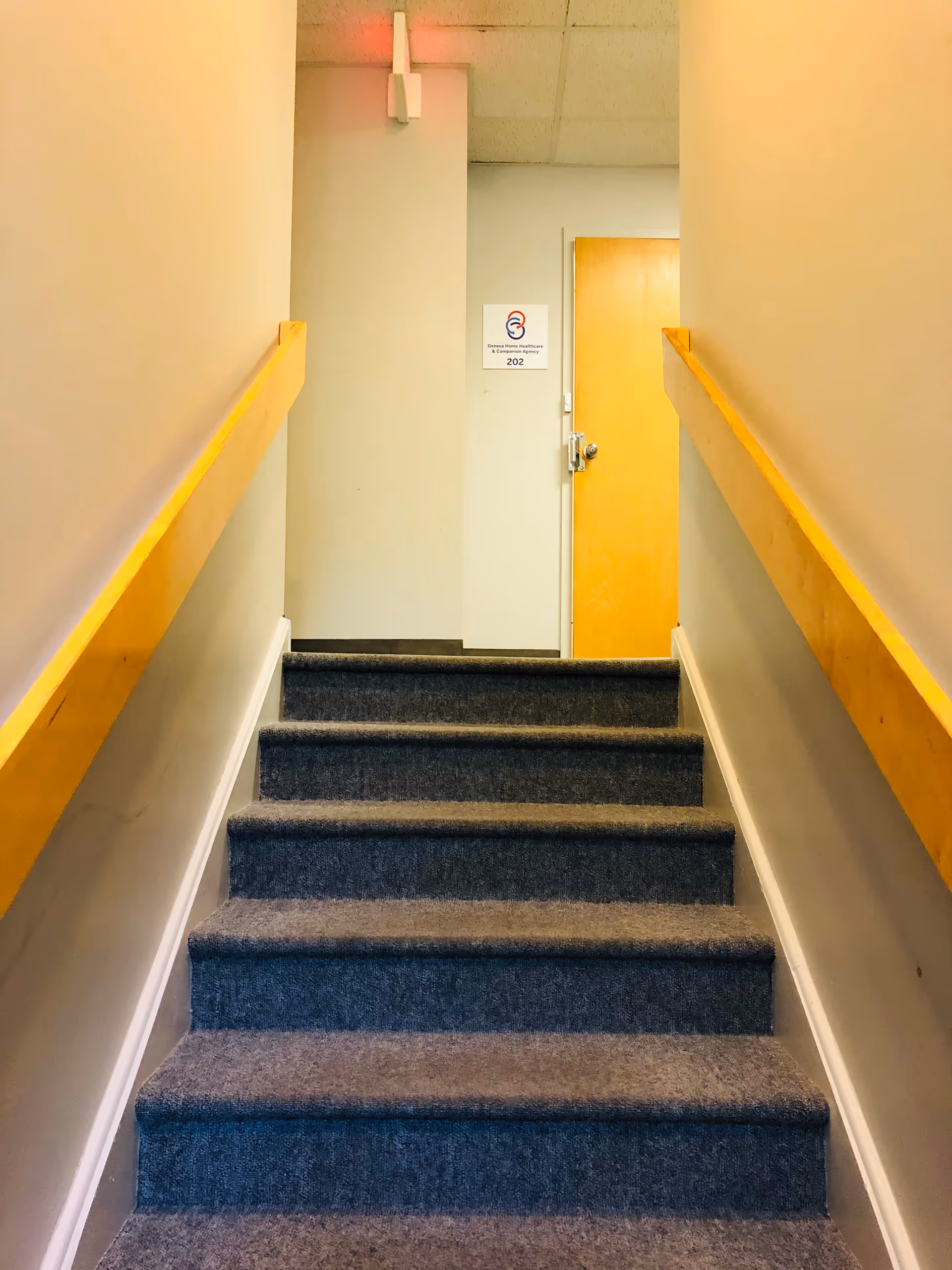 Narrow carpeted staircase inside a facility with wooden handrails and a door at top