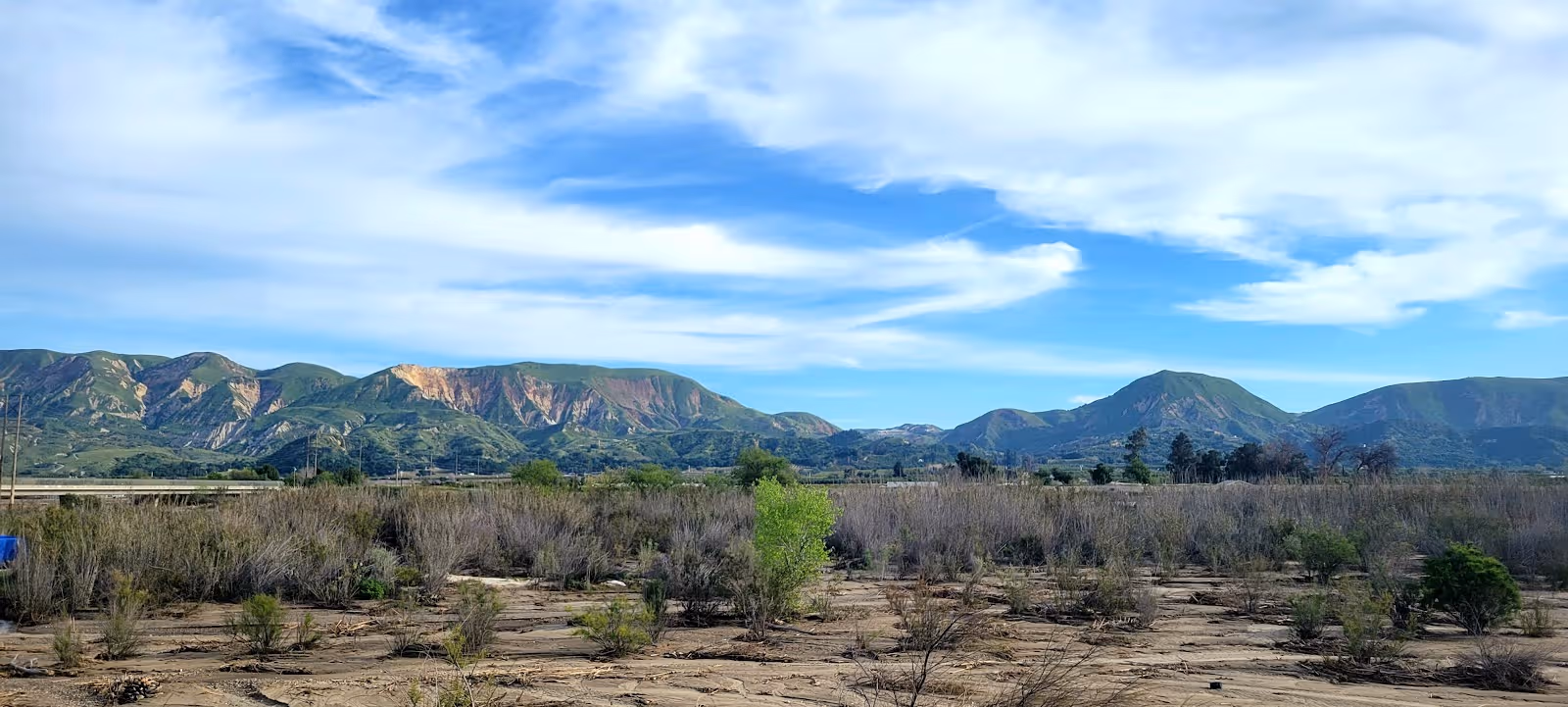 Desert landscape with sparse shrubs and distant mountains under a blue sky.
