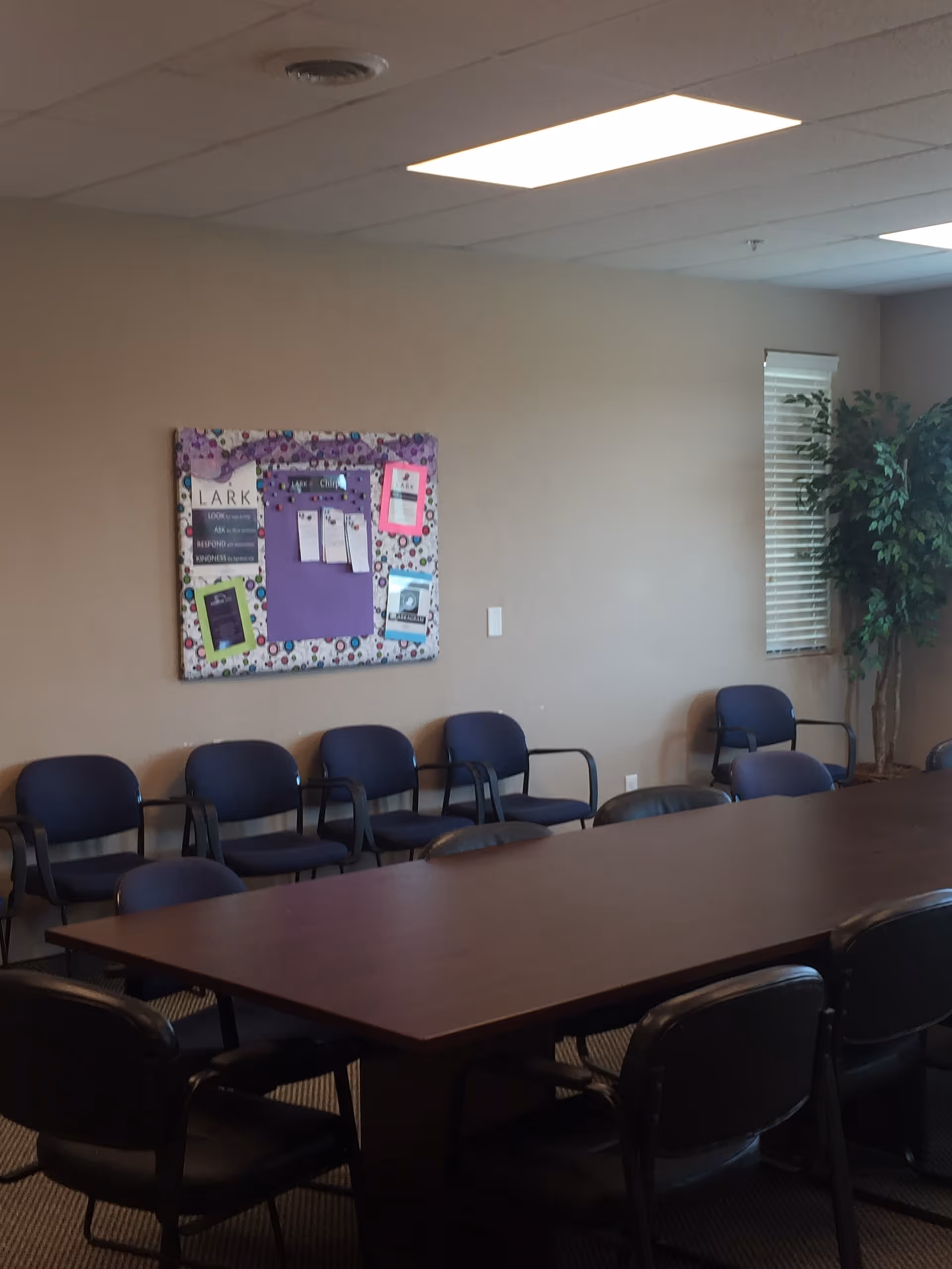 Meeting room with a long table, blue chairs, bulletin board, and potted plant.