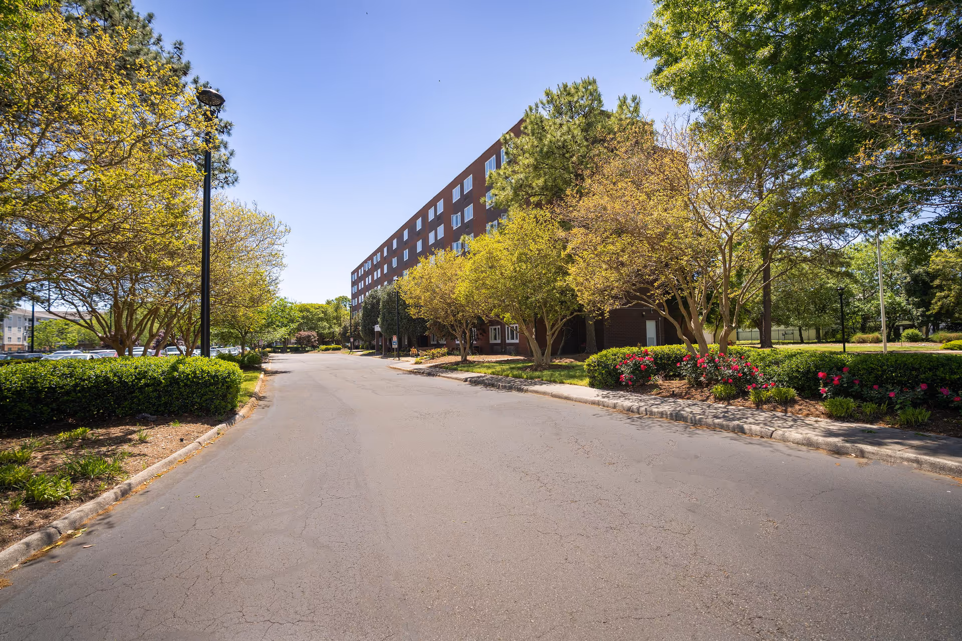 A paved driveway lined with green bushes and trees leading to a multi-story brick building under a clear blue sky.