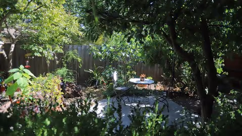 Shaded backyard patio with a small round table and chairs surrounded by lush trees, plants, and a wooden fence.