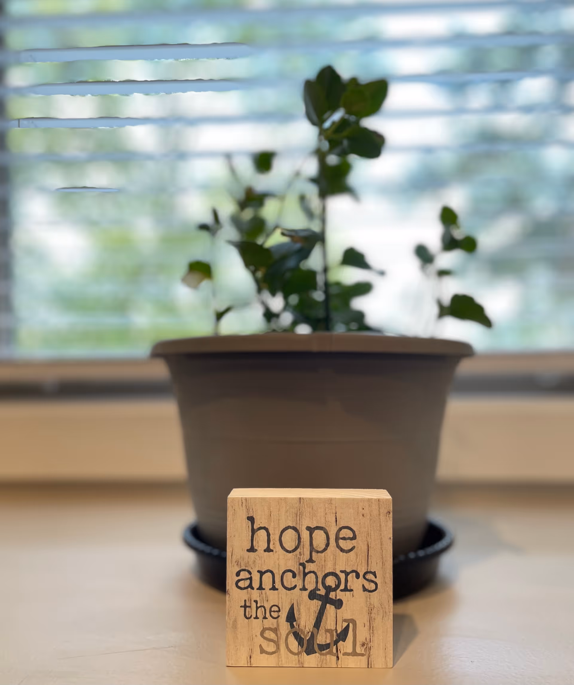 A potted plant sits on a windowsill with a decorative wooden sign.