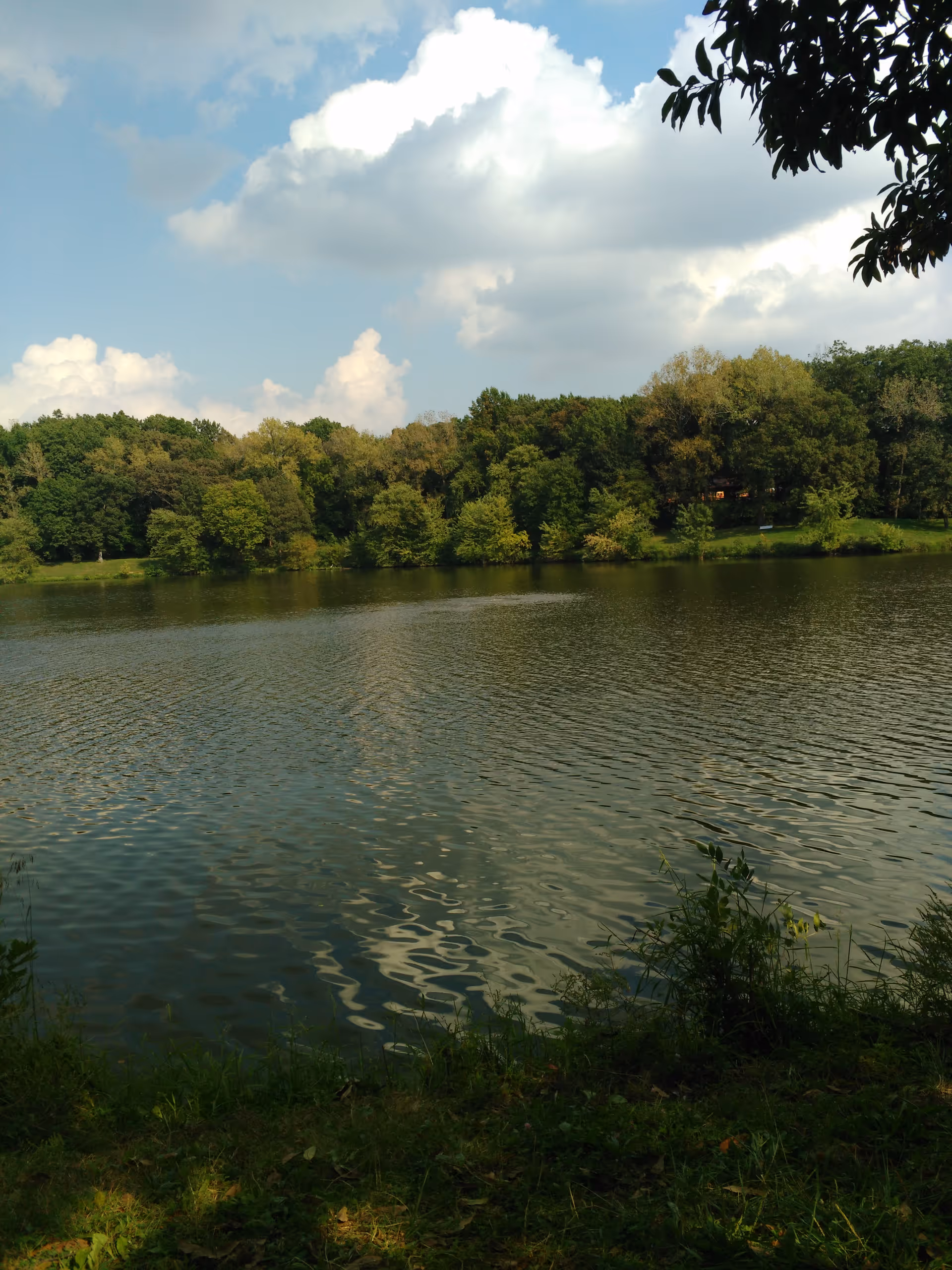 A tranquil lakeside scene with trees along the shore and calm water.