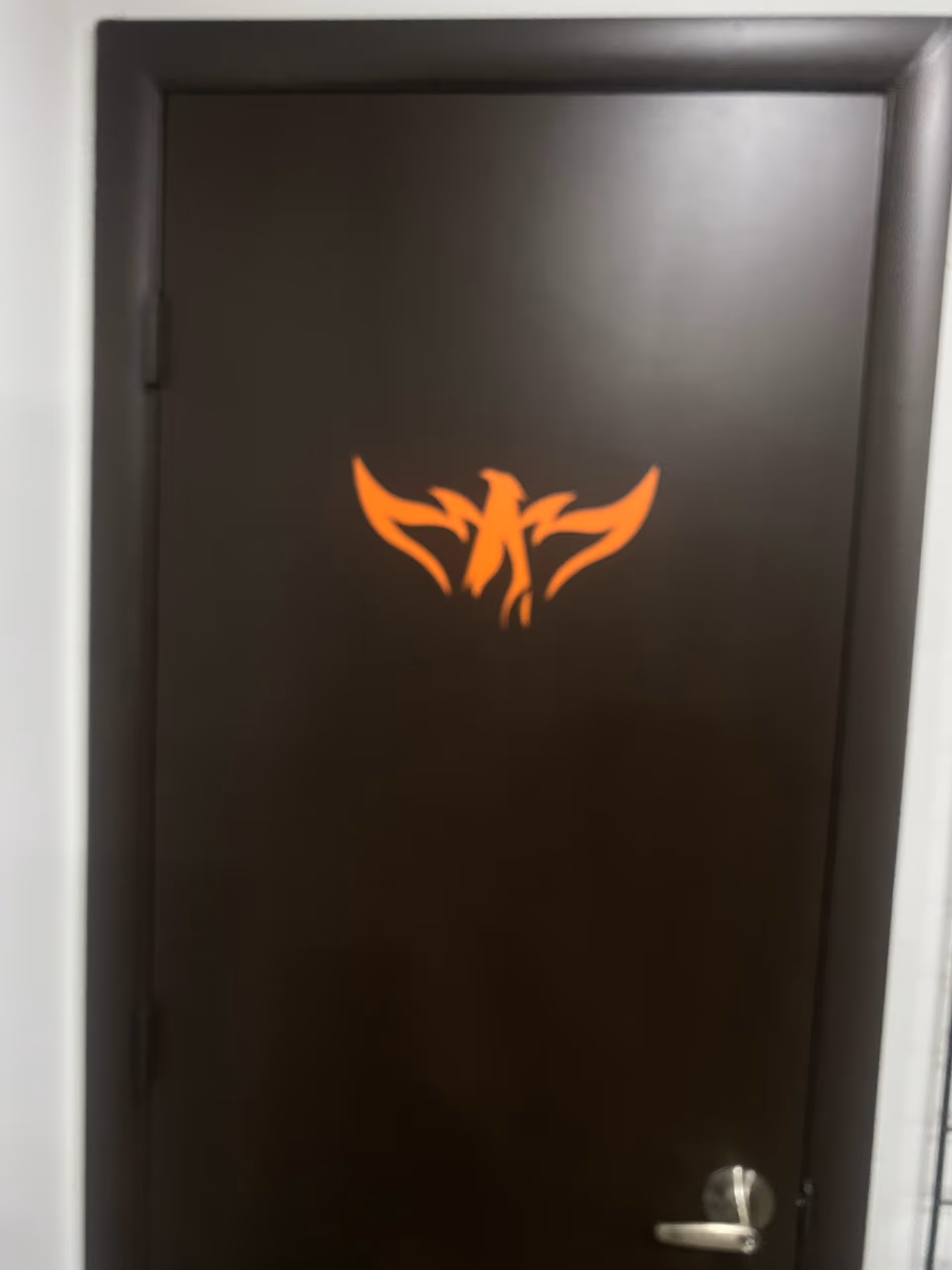 Dark interior door with orange phoenix emblem in a hallway.