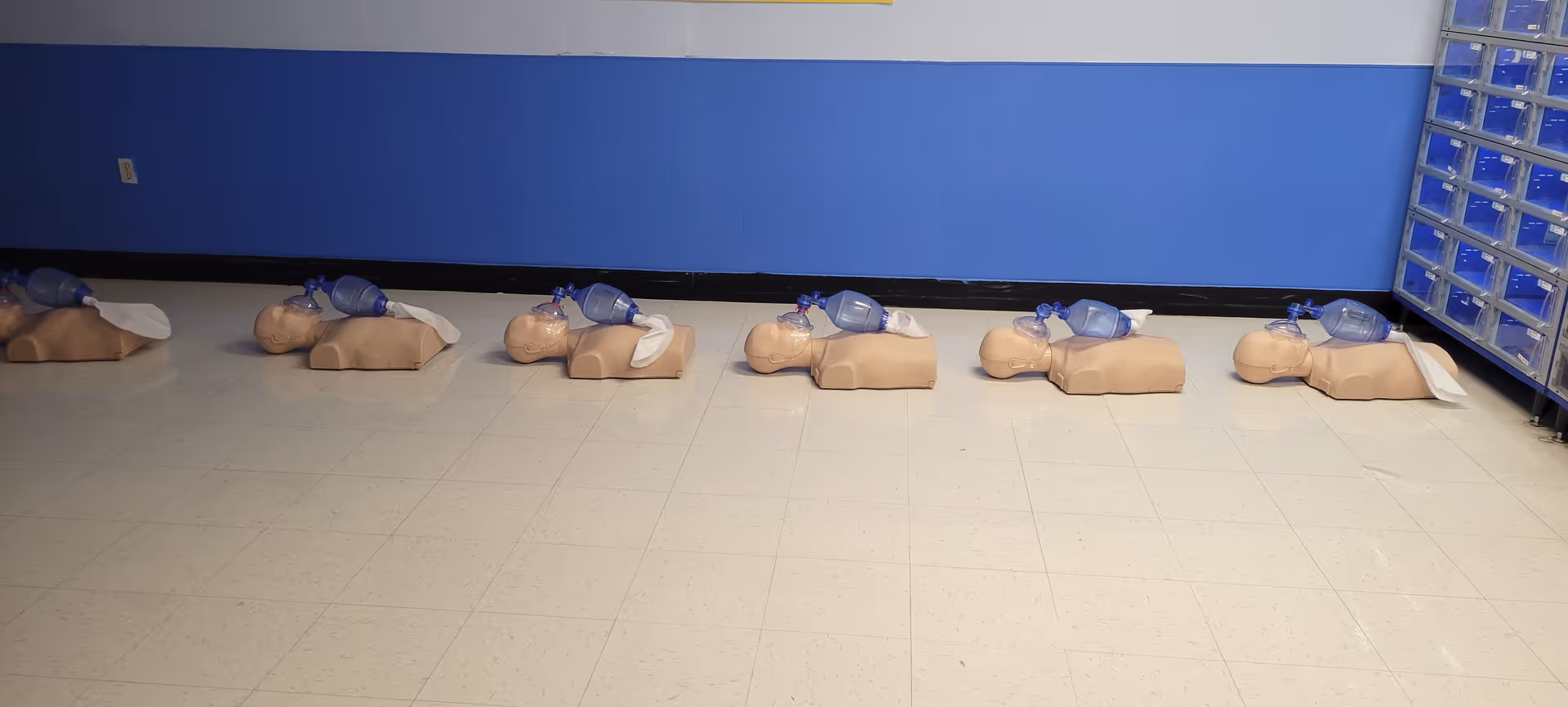 Row of CPR training dummies lined up along a blue-walled hallway.