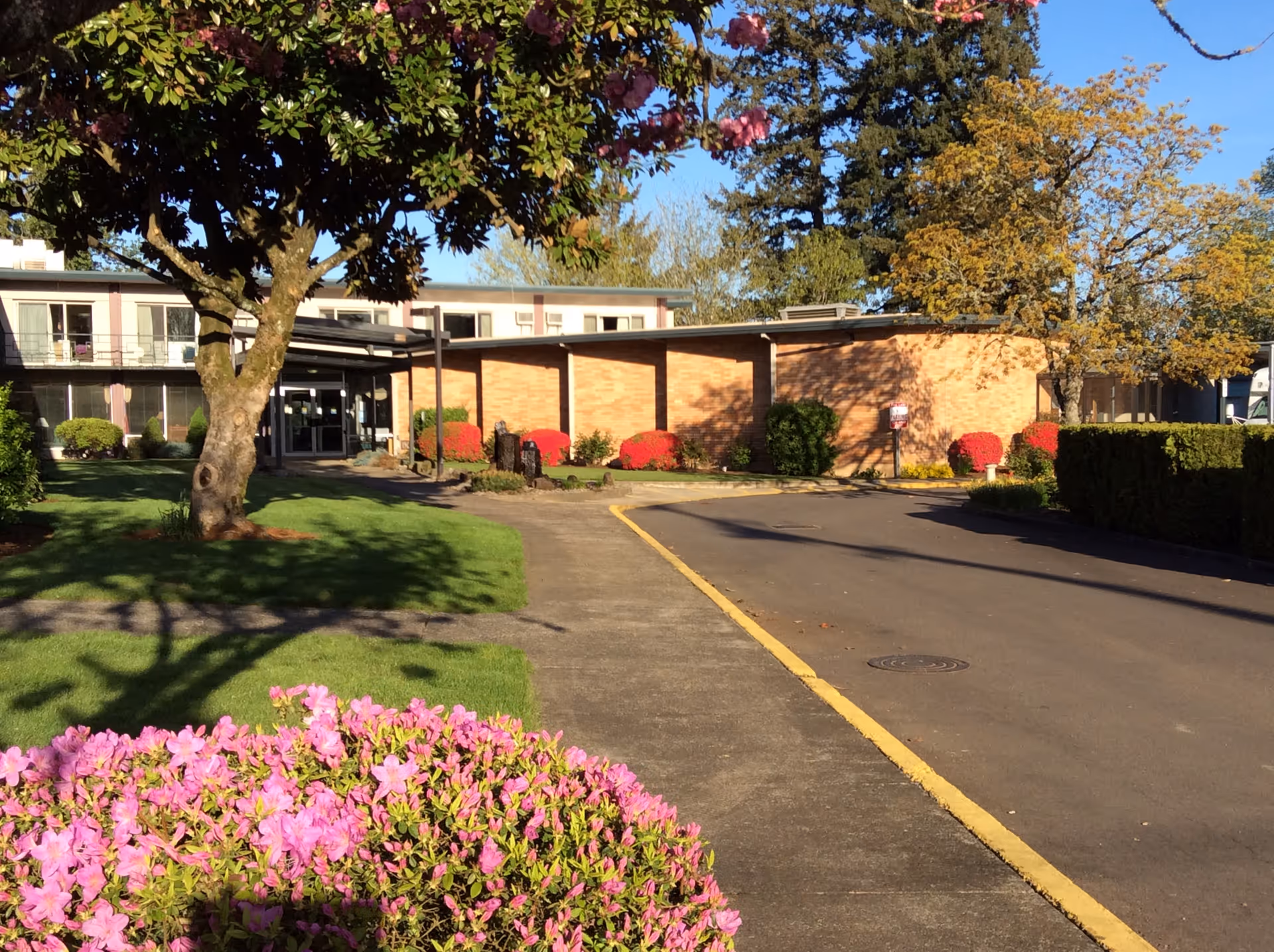 Exterior view of Willamette Lutheran Retirement facility showing a paved driveway, green lawn, blooming pink flowers, trees with green and yellow leaves, and a brick building under a clear blue sky.