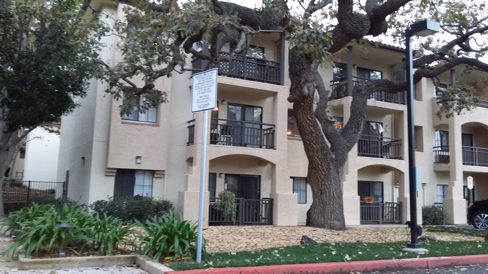 Exterior view of a multi-story senior living building with balconies and a large tree.