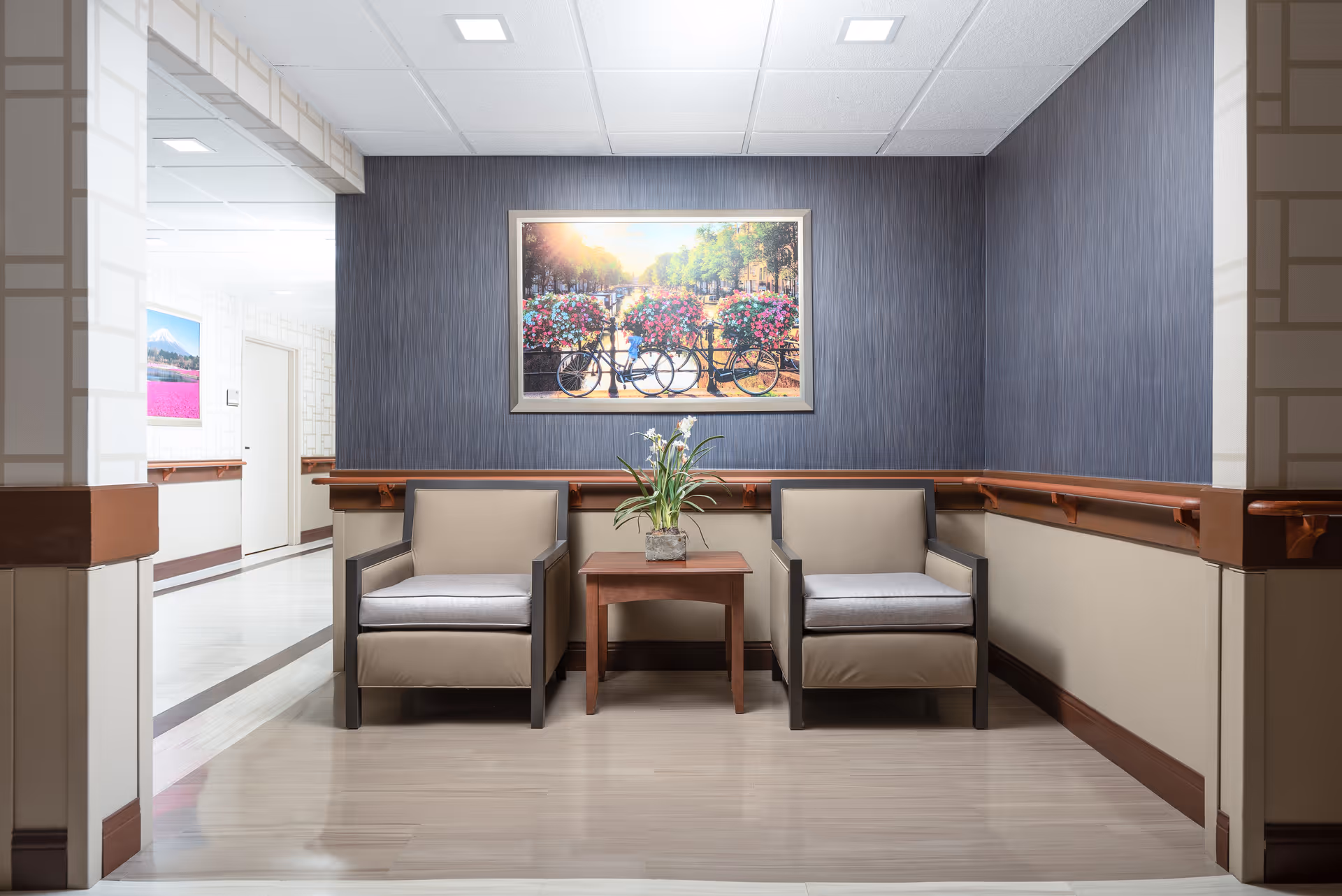 A small seating area in a hallway with two beige armchairs separated by a wooden side table holding a potted plant. The walls are decorated with a dark textured wallpaper and a framed picture of bicycles with flower baskets. The hallway has light-colored flooring and white ceiling tiles with recessed lighting.