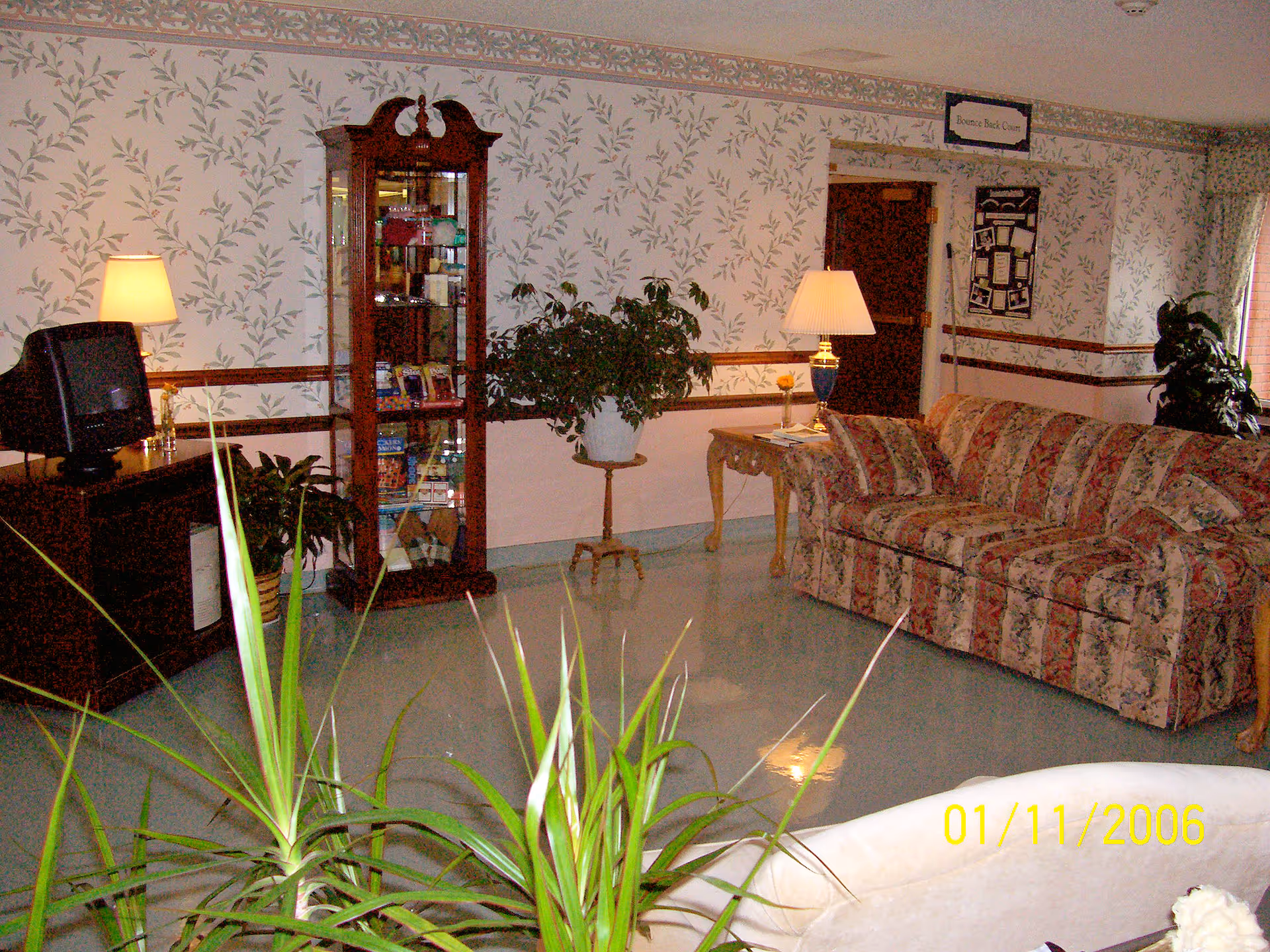 A cozy living room area with floral wallpaper and a floral patterned couch. There is a wooden display cabinet with glass doors containing various items, a small wooden table with a lamp, and several potted plants. A TV sits on a wooden stand to the left. The floor is shiny and reflective, and there is a window with curtains on the right side.