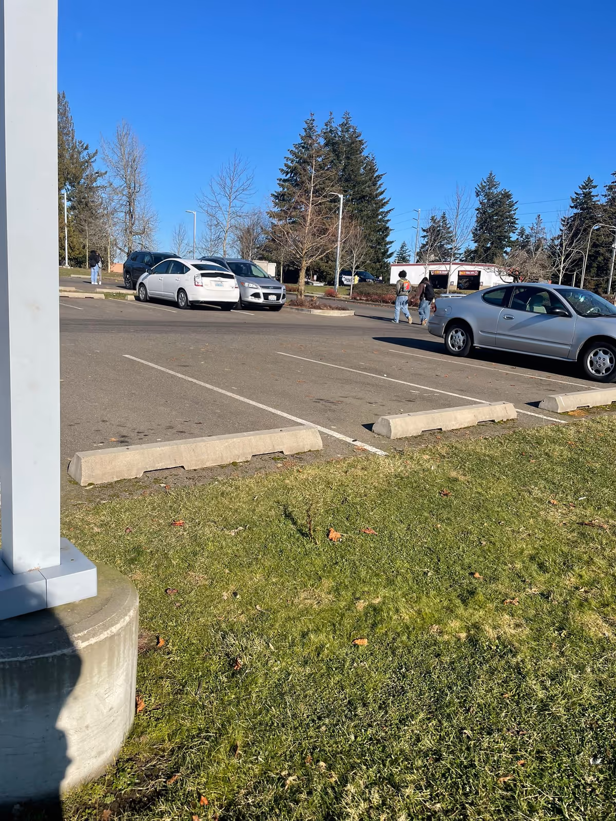 Outdoor parking lot with cars, people walking, and trees under a blue sky.
