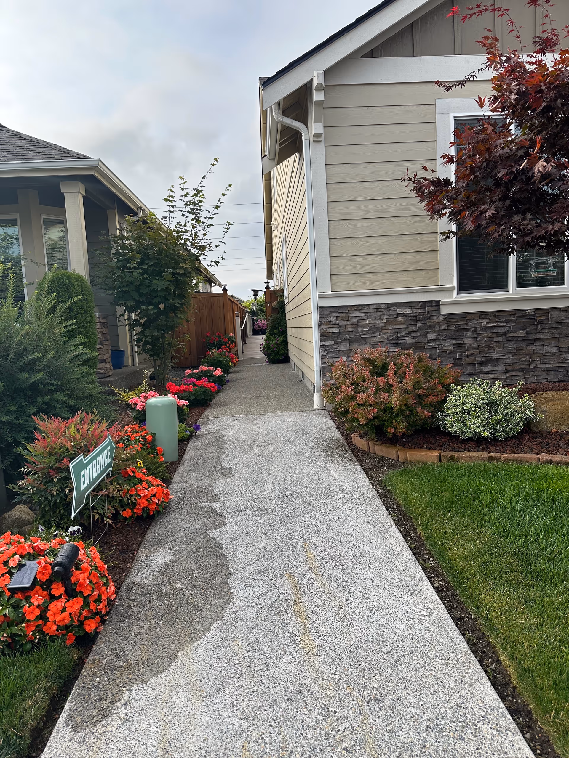 Concrete walkway between two beige homes with vibrant flower beds on both sides.