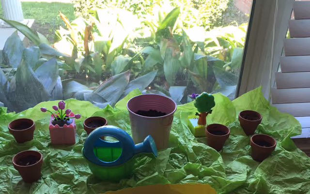 Indoor gardening activity on a windowsill with pots and a watering can.