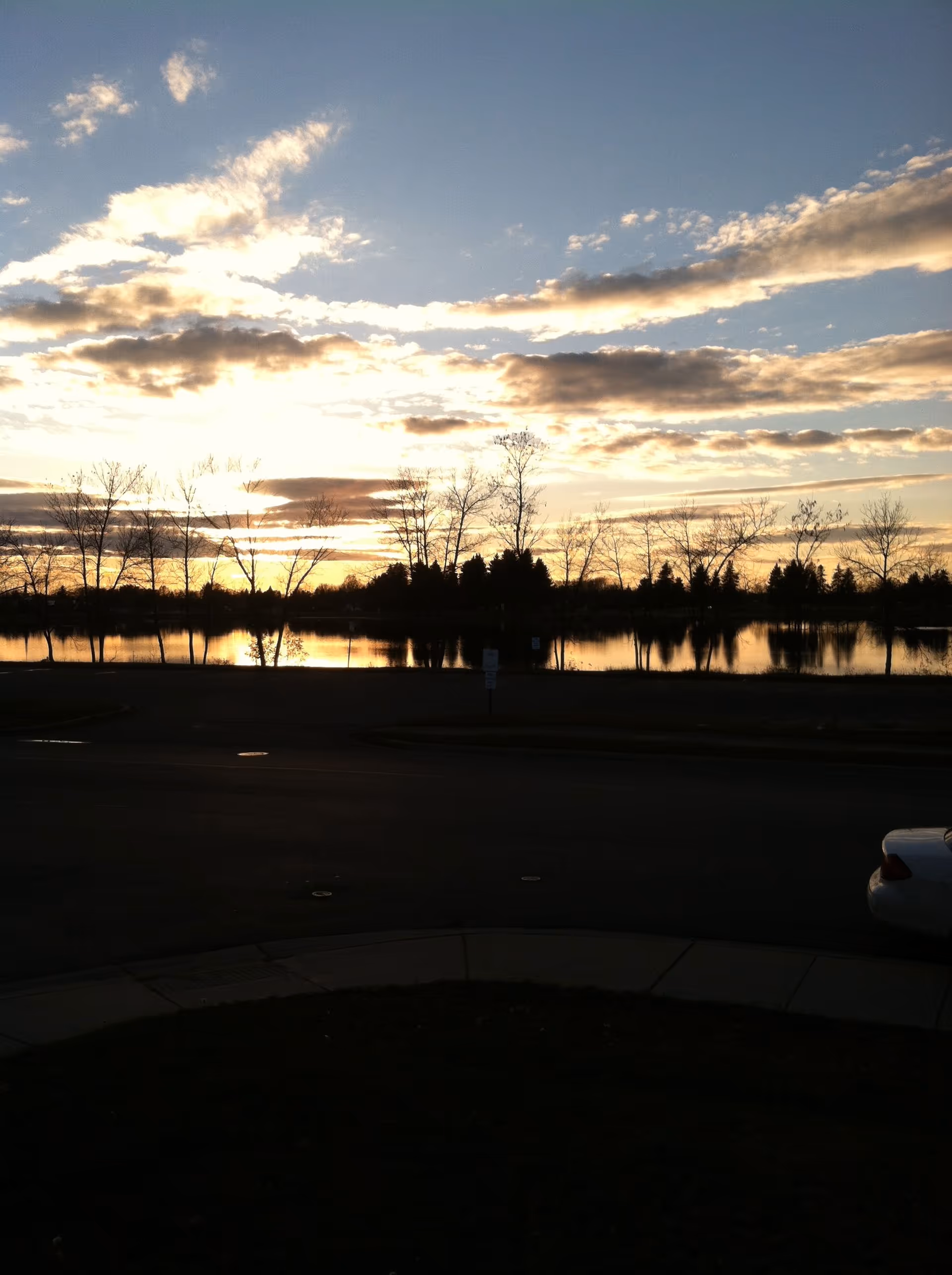 Sunset view over a calm lake with bare trees silhouetted against a partly cloudy sky, a road in the foreground, and a partial view of a white car on the right side.