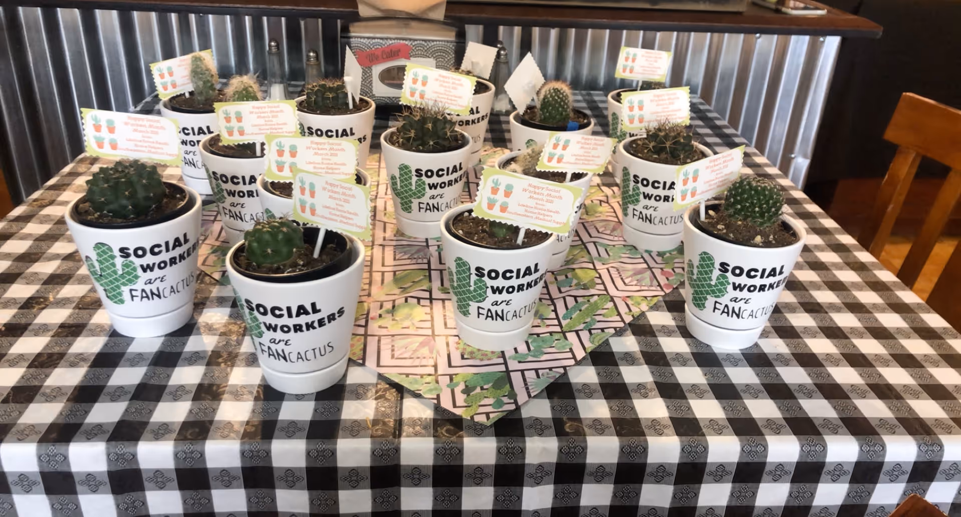 Multiple small cacti in white mugs arranged on a checkered dining table indoors.