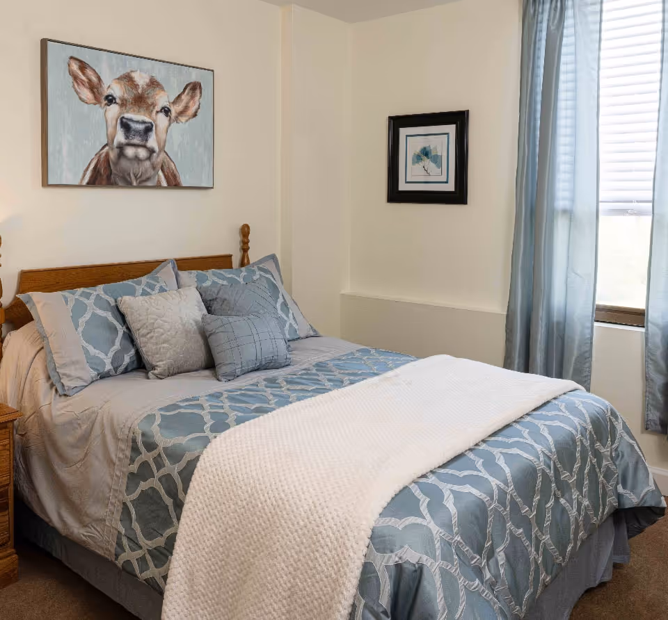 A neatly made bed with blue and gray patterned bedding and multiple pillows in a bedroom. Above the bed is a framed picture of a calf. To the right, there is a window with blue curtains and a framed artwork on the wall.
