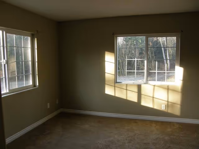 Empty beige room with two windows and sunlight on carpet.